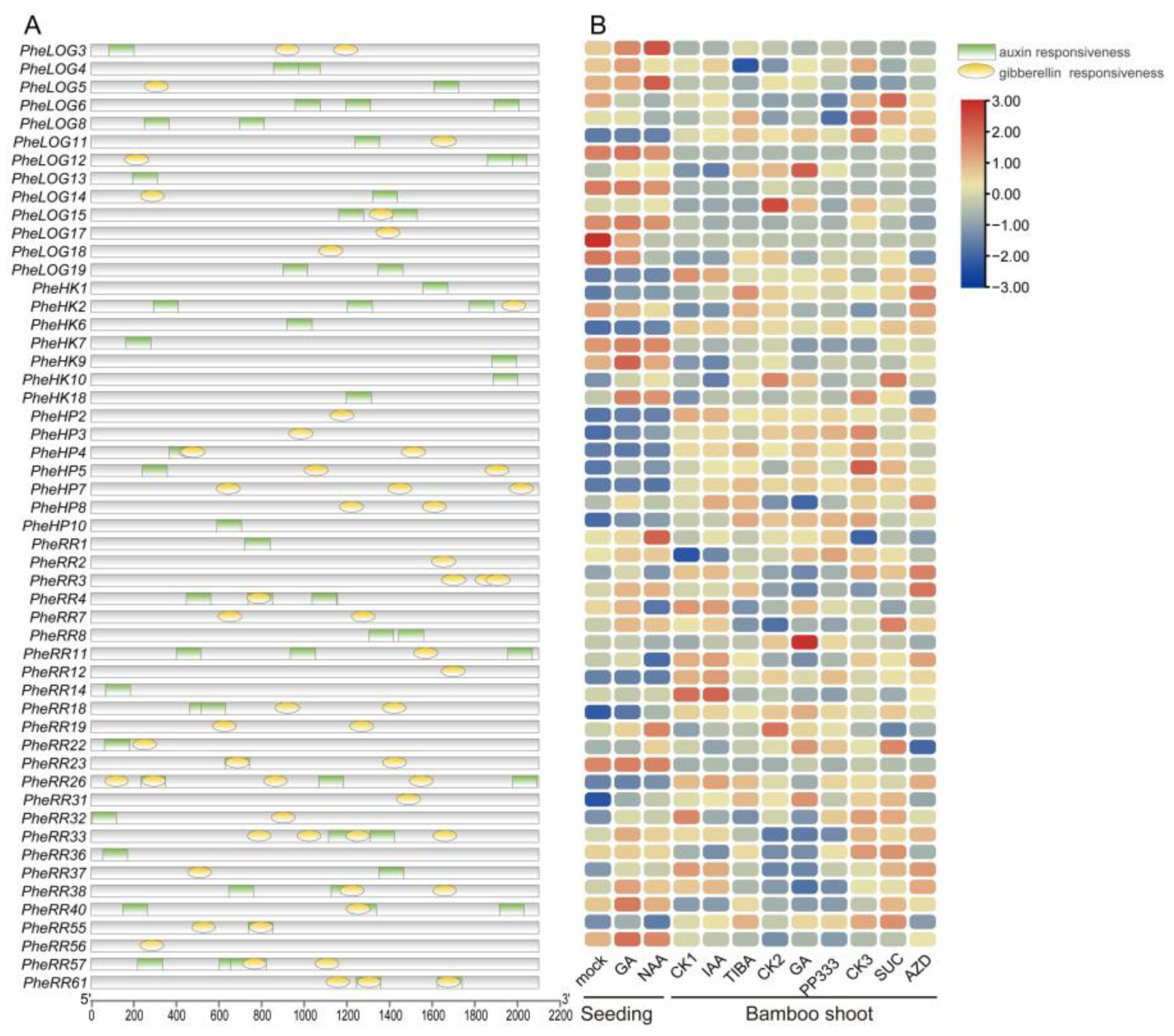 Ijms 24 10863 g006 Ijms 24 10863 g006