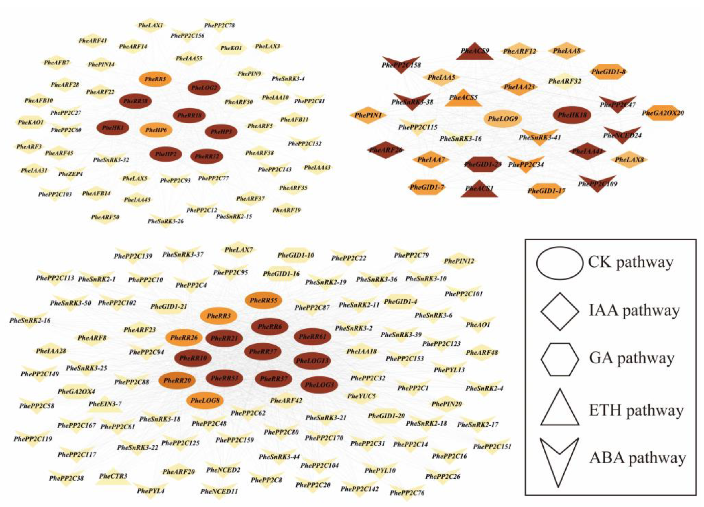 Ijms 24 10863 g007 Ijms 24 10863 g007