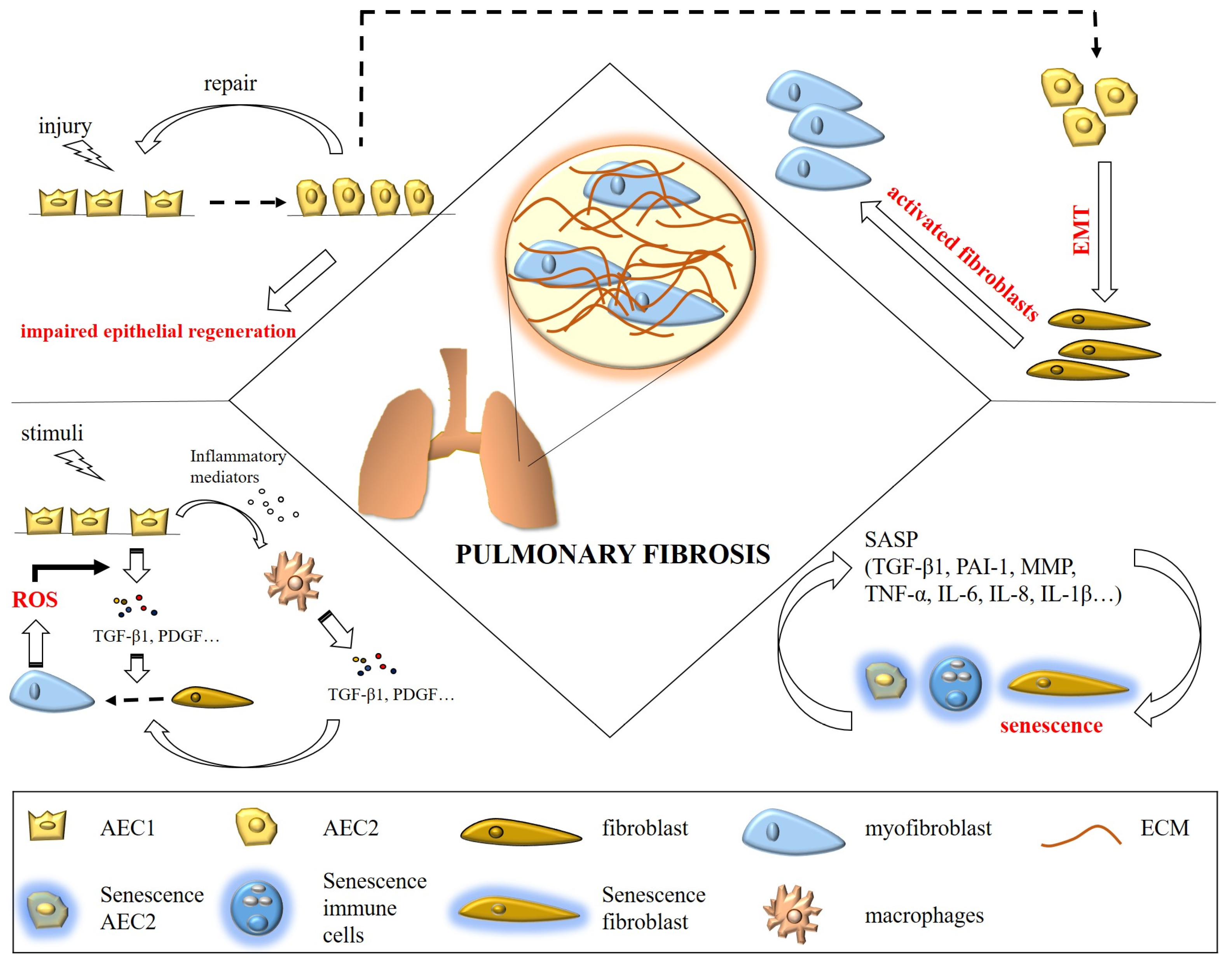 Ijms 24 10876 g001 Ijms 24 10876 g001
