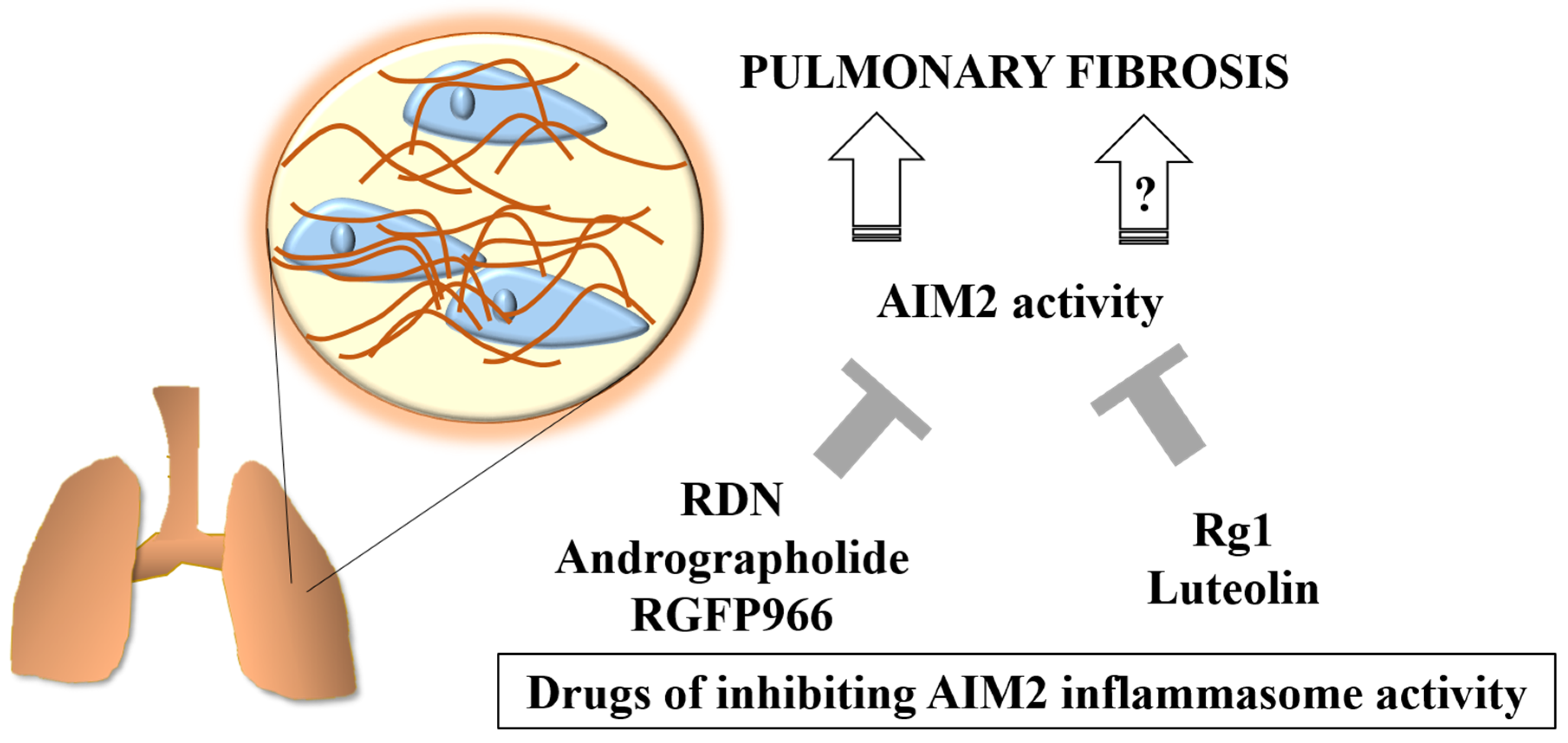 Ijms 24 10876 g003 Ijms 24 10876 g003