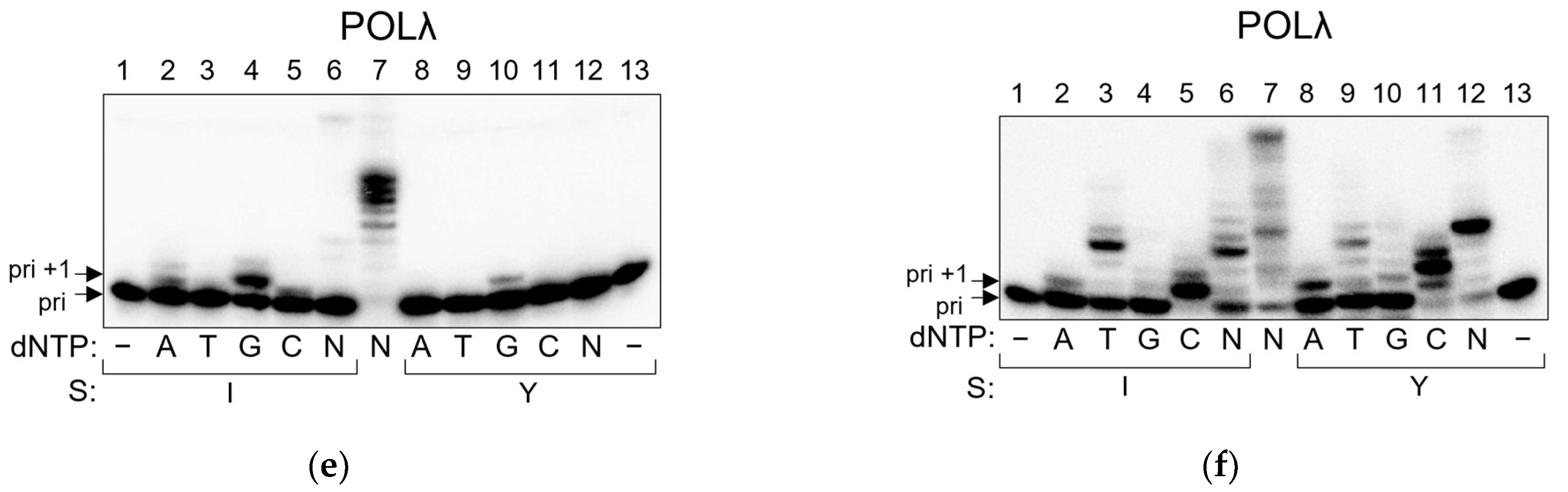 Ijms 24 10877 g003b Ijms 24 10877 g003b
