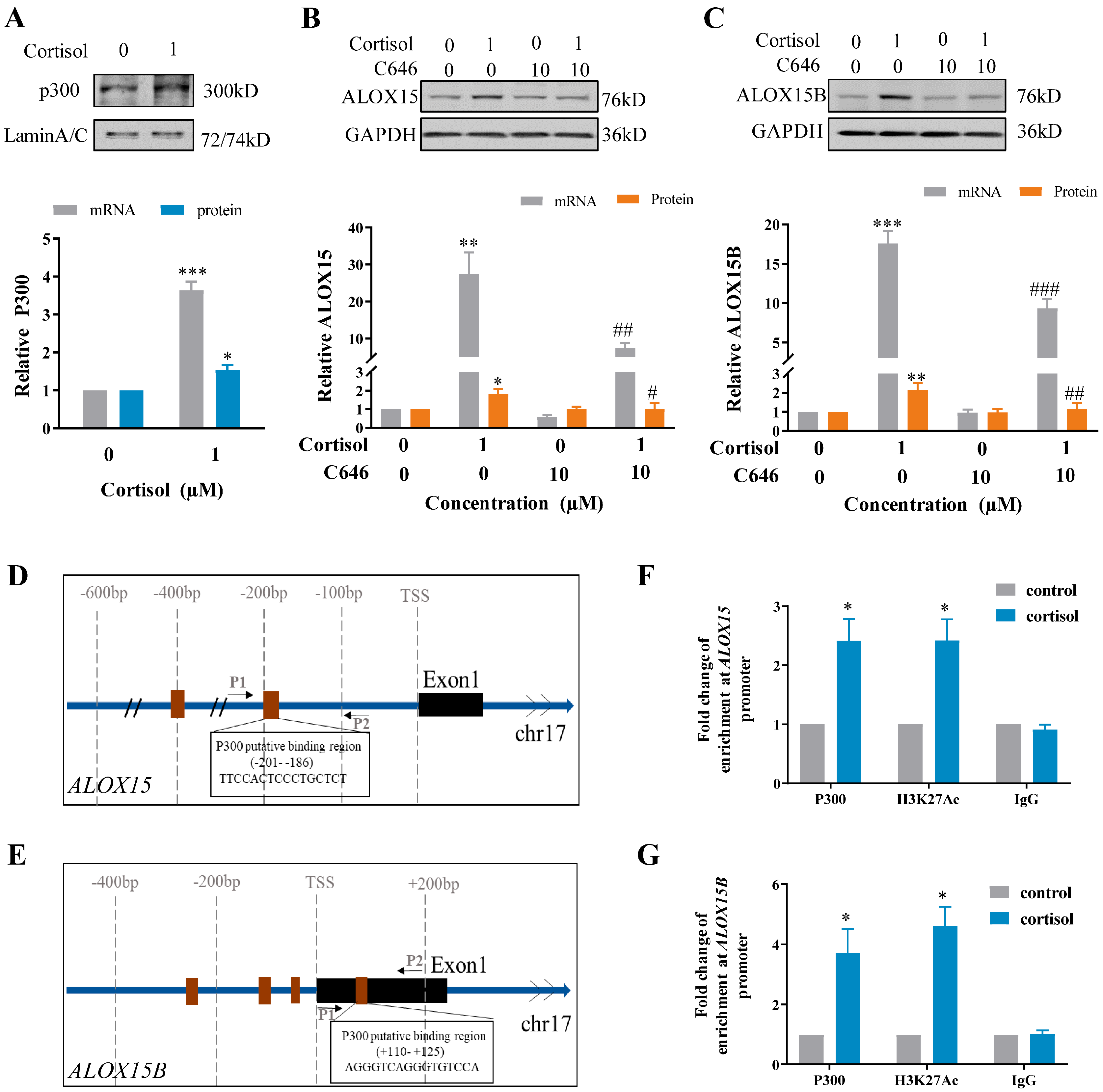 Ijms 24 10881 g002 Ijms 24 10881 g002