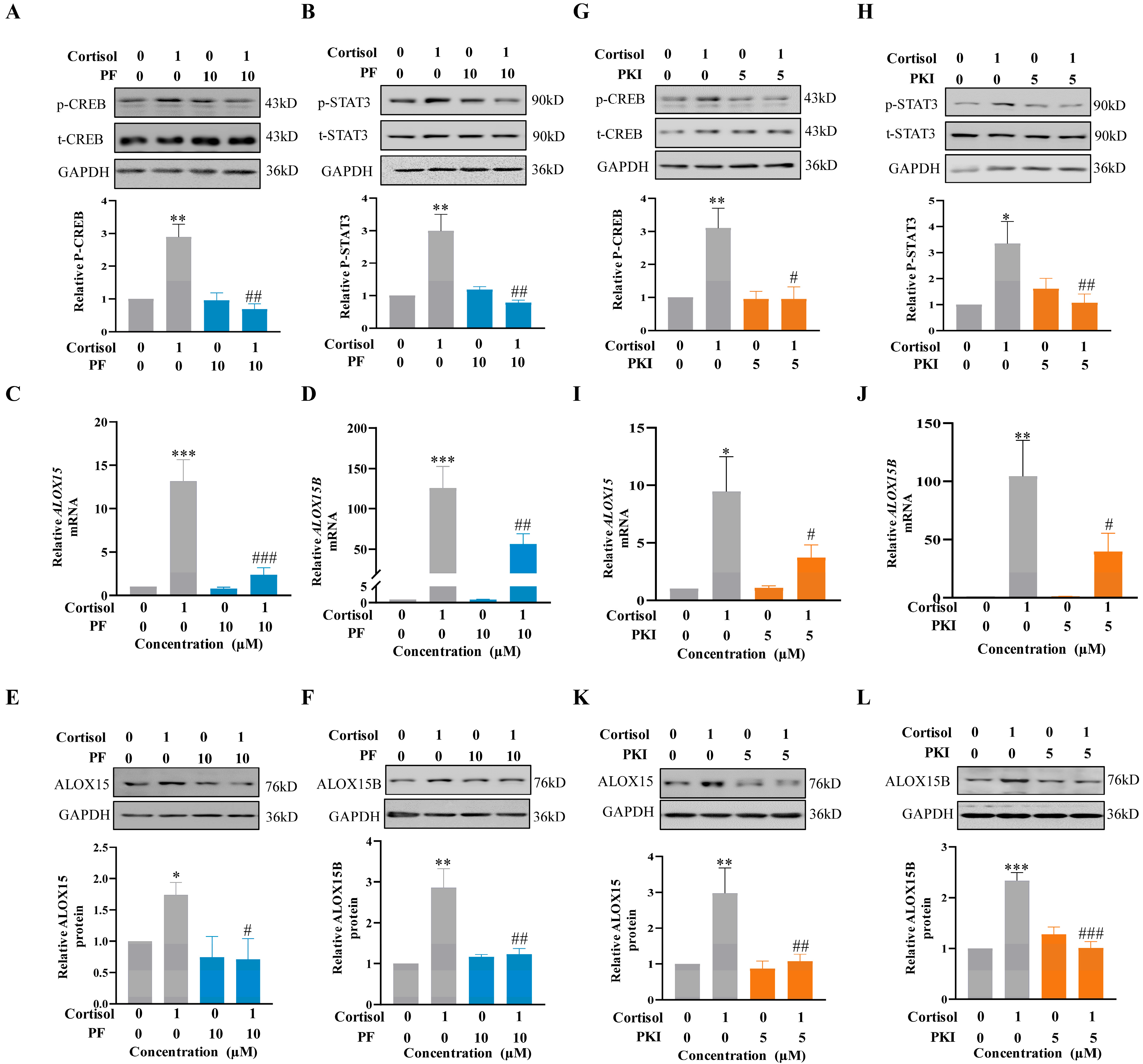 Ijms 24 10881 g005 Ijms 24 10881 g005