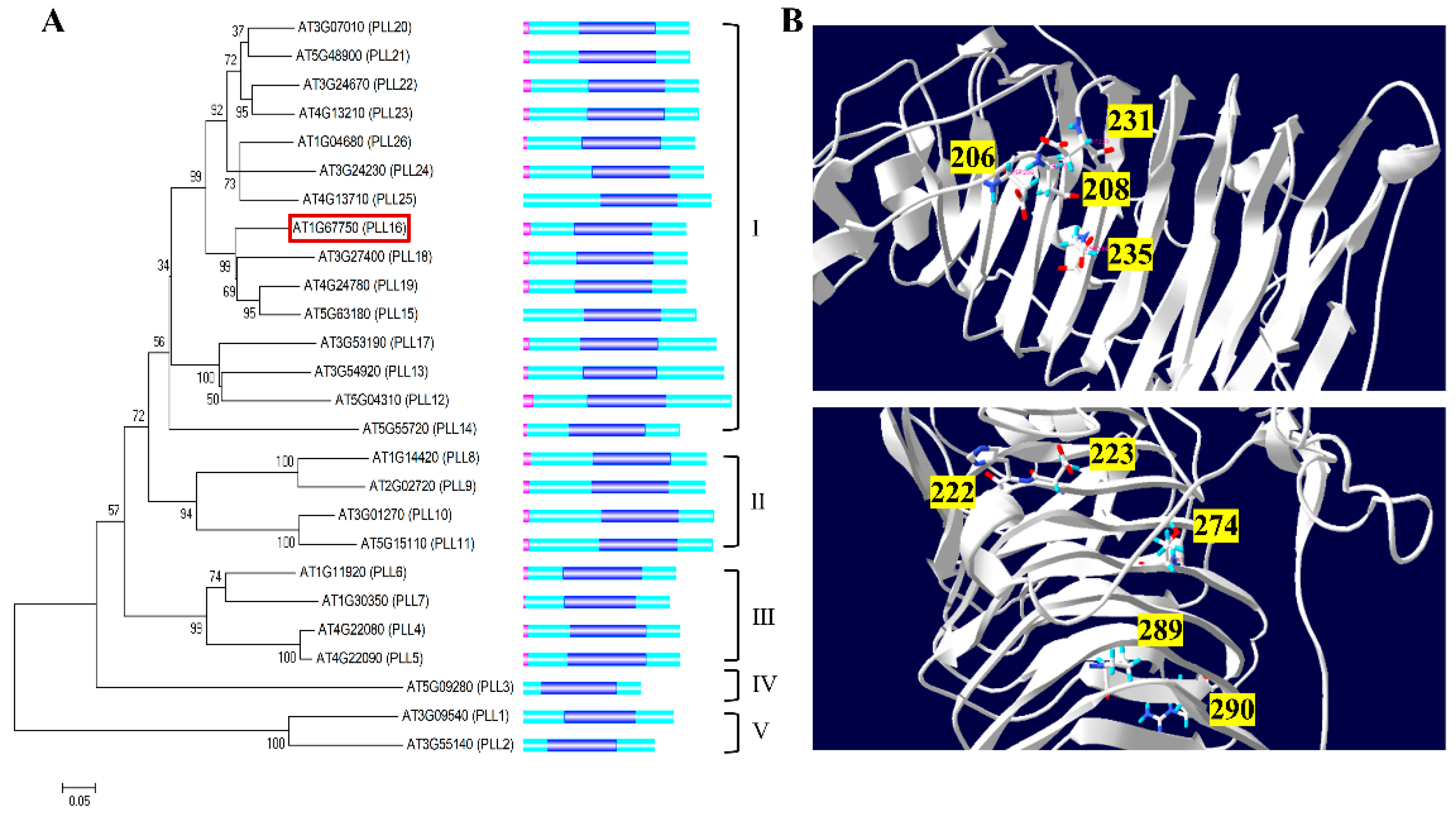 Ijms 24 10883 g001 Ijms 24 10883 g001