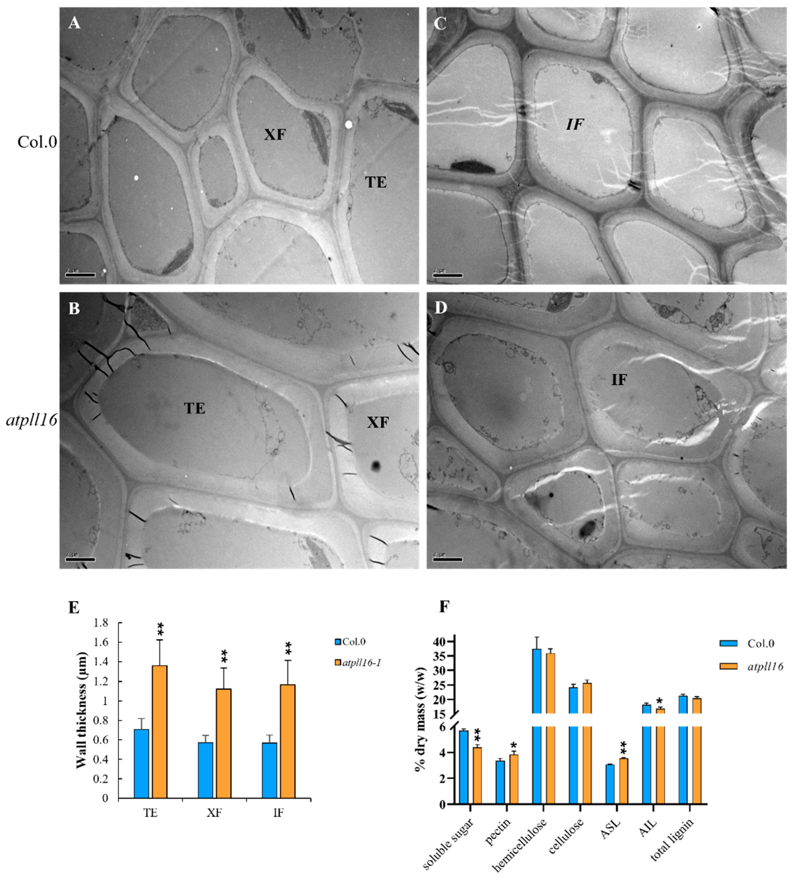 Ijms 24 10883 g004 Ijms 24 10883 g004