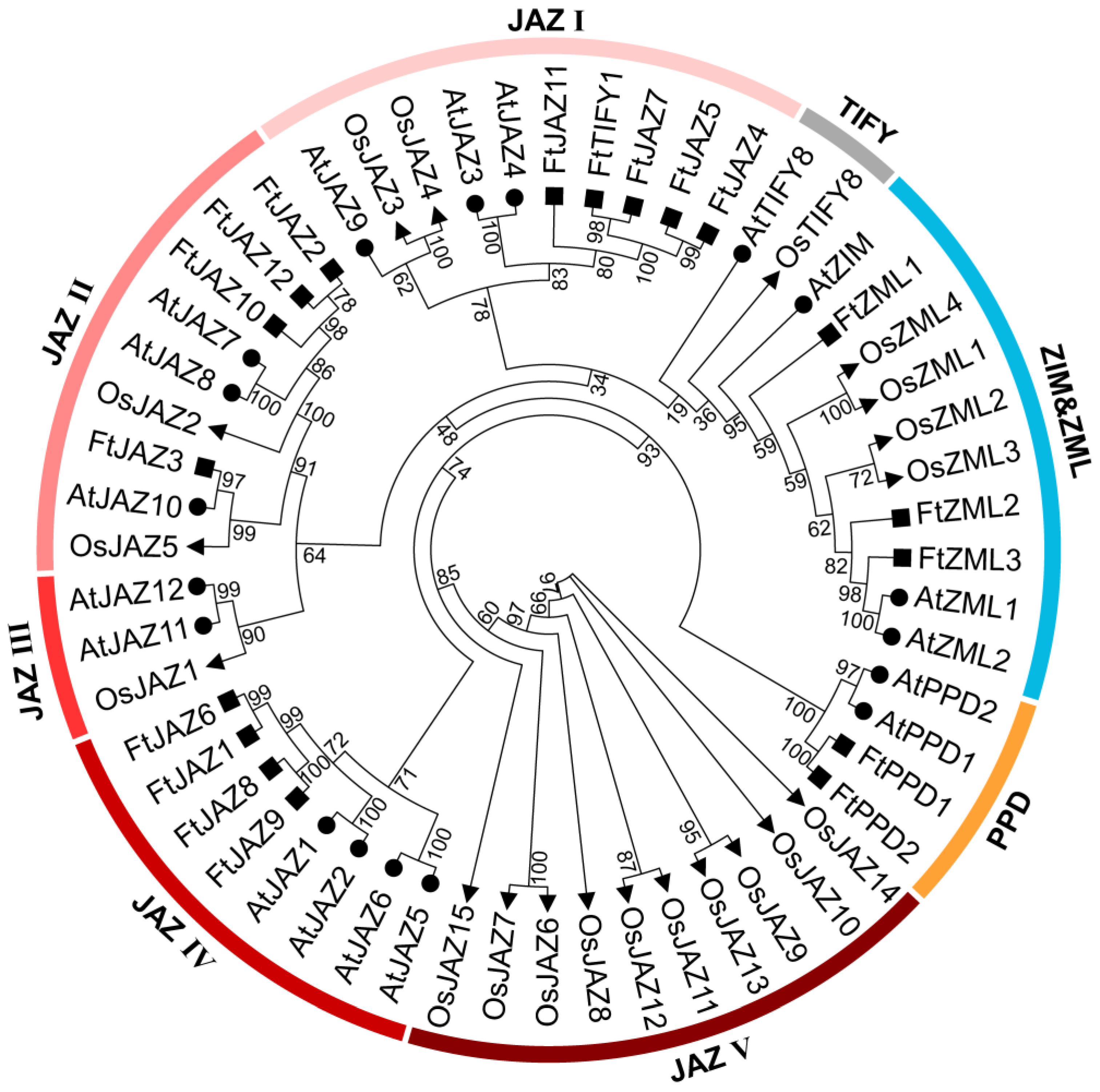 Ijms 24 10916 g001 Ijms 24 10916 g001