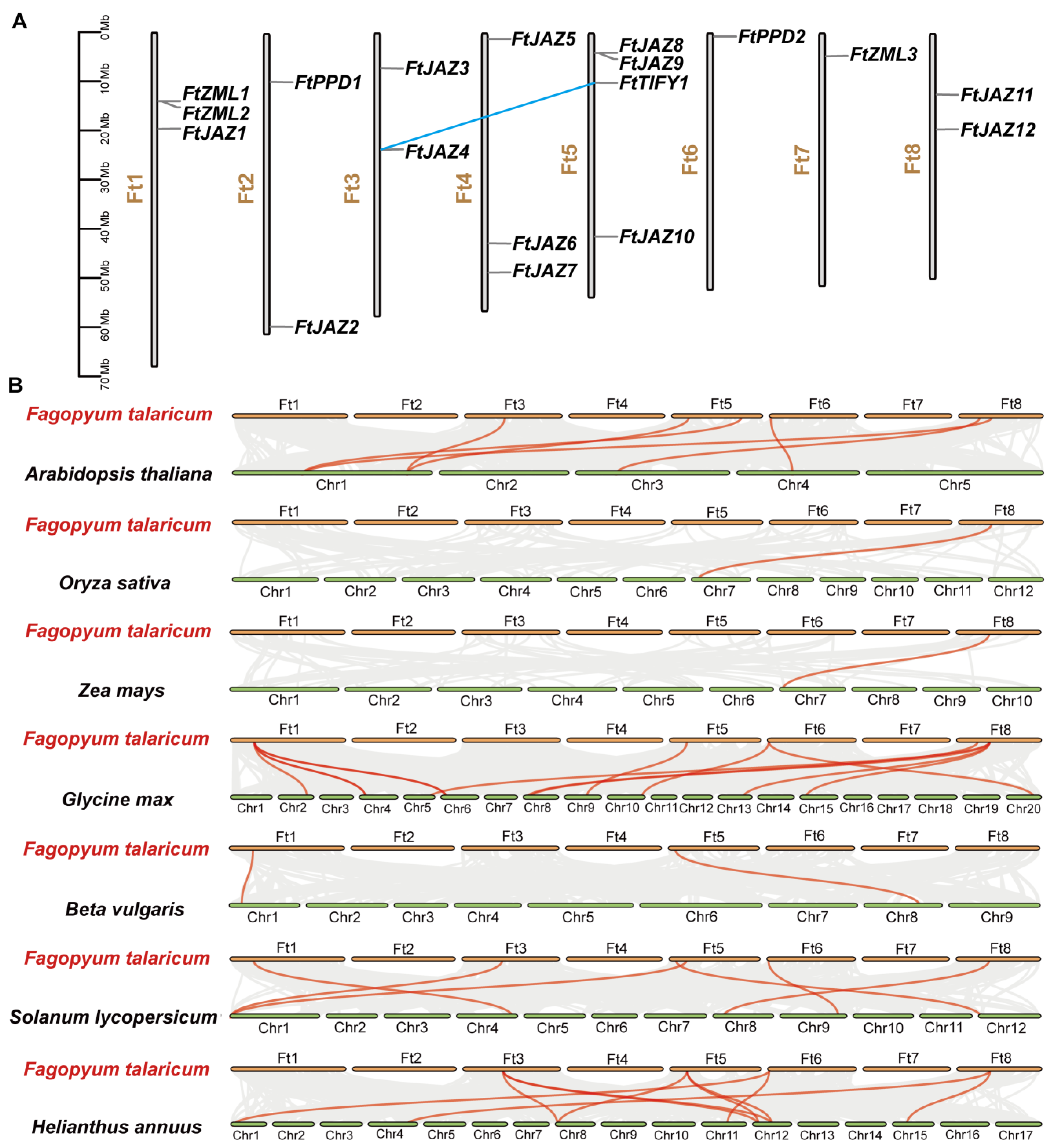Ijms 24 10916 g002 Ijms 24 10916 g002