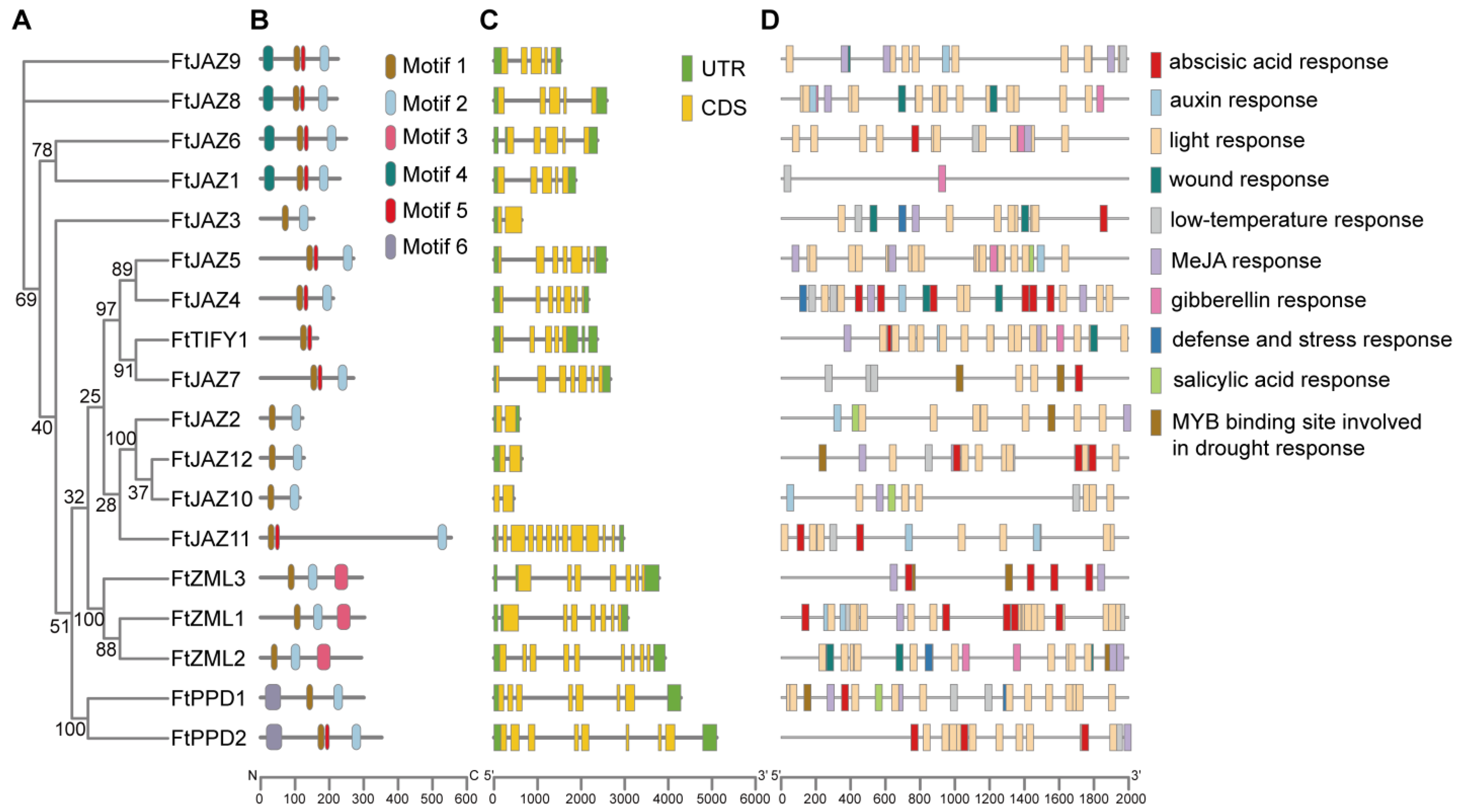 Ijms 24 10916 g003 Ijms 24 10916 g003