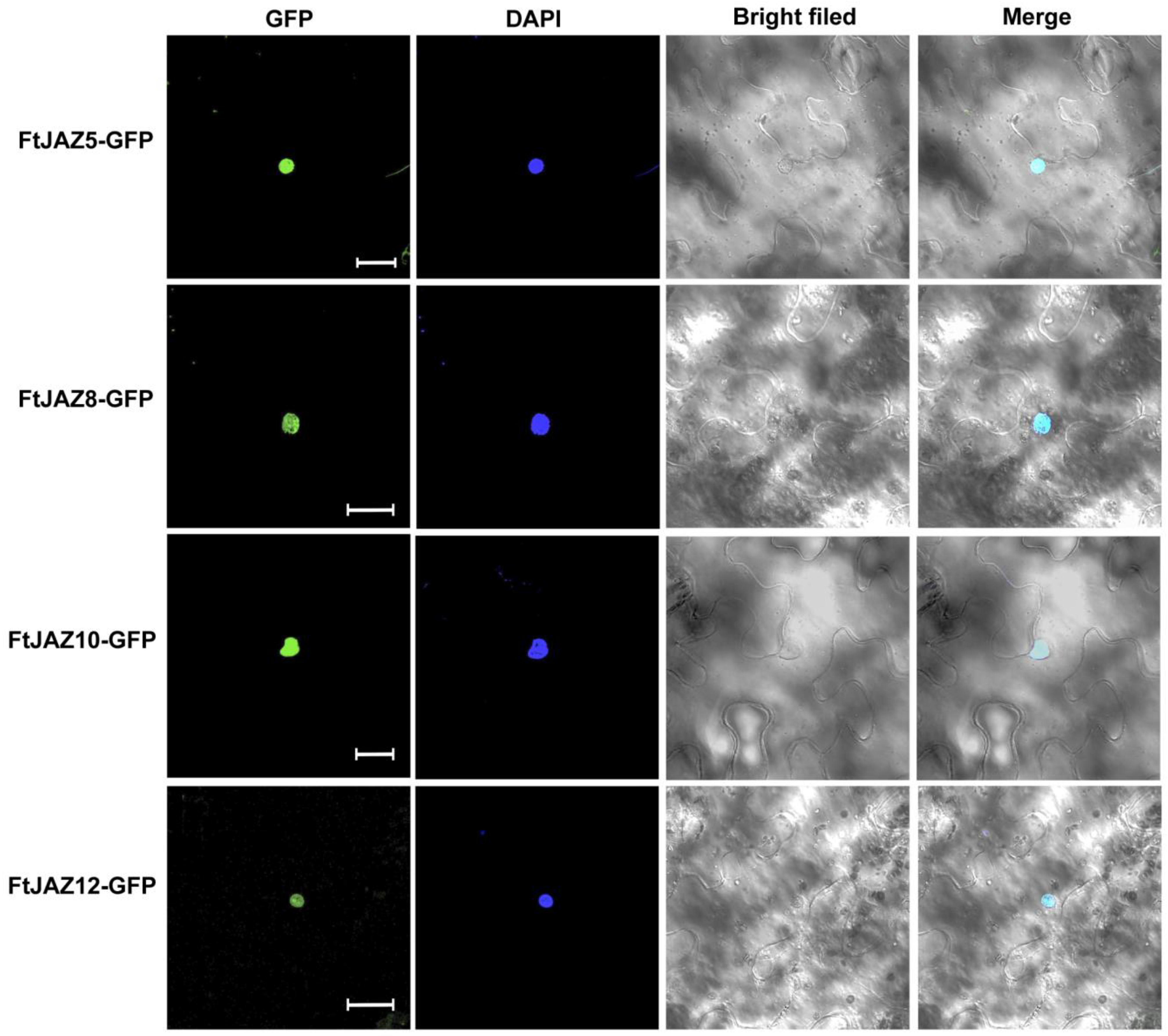 Ijms 24 10916 g005 Ijms 24 10916 g005