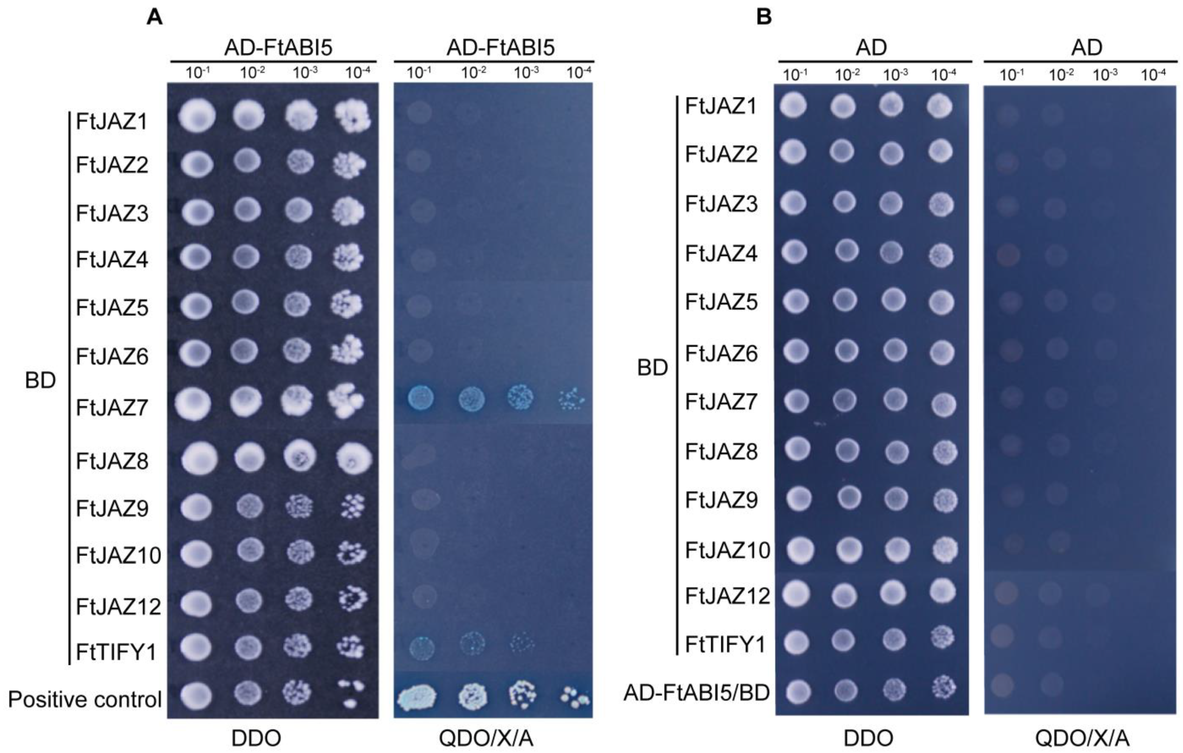 Ijms 24 10916 g006 Ijms 24 10916 g006