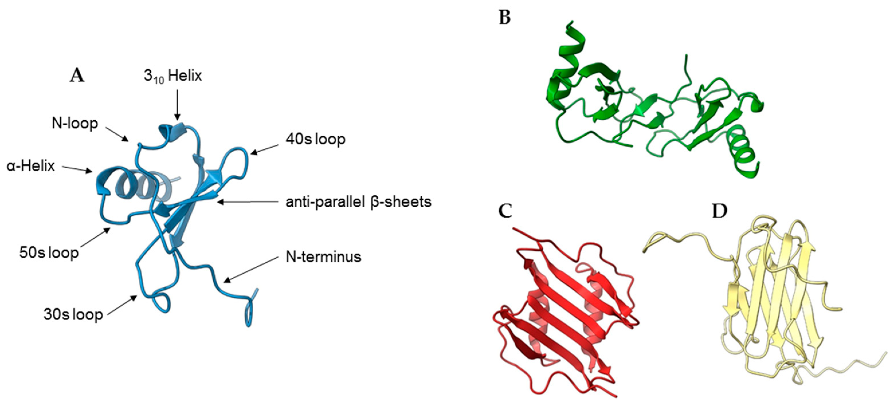 Ijms 24 10925 g001 Ijms 24 10925 g001
