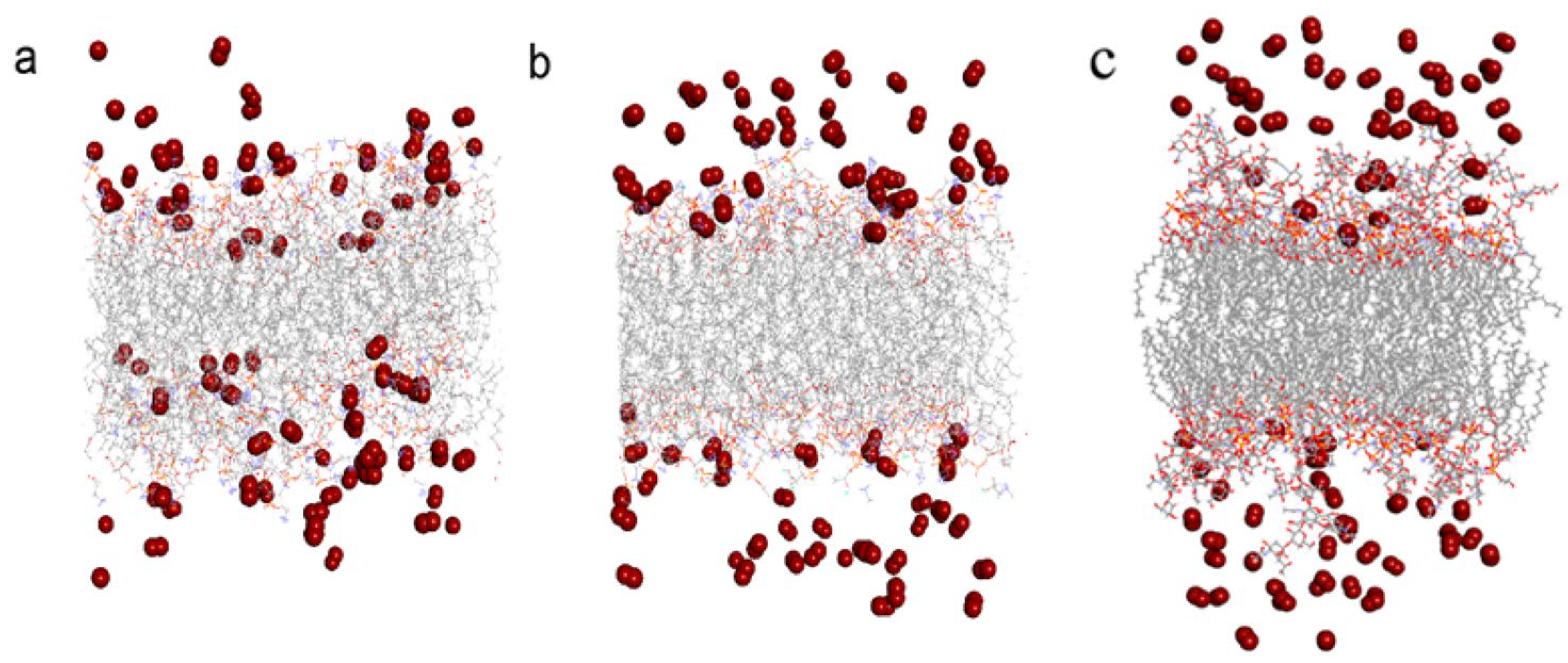 Ijms 24 10926 g003 Ijms 24 10926 g003