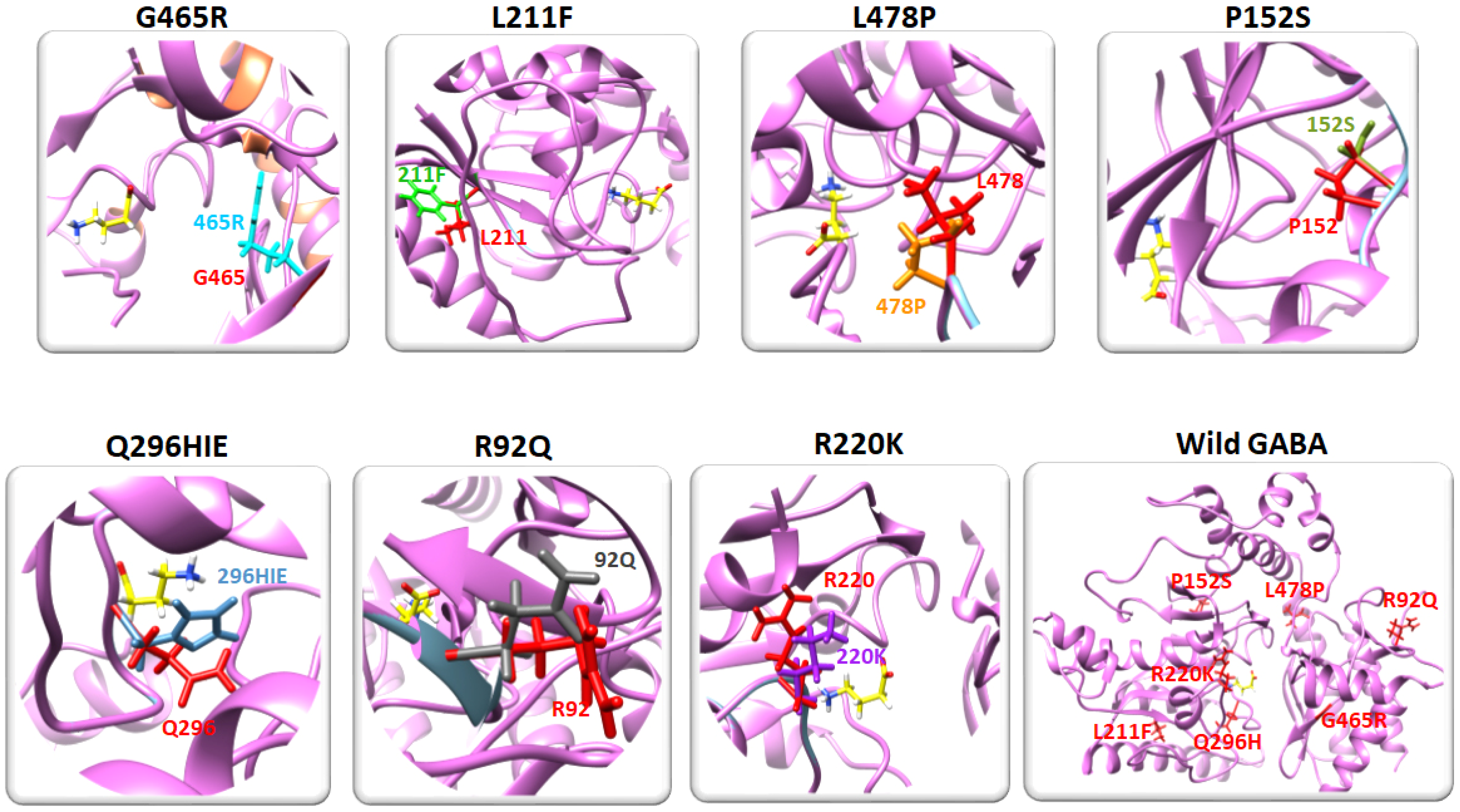 Ijms 24 10933 g003 Ijms 24 10933 g003