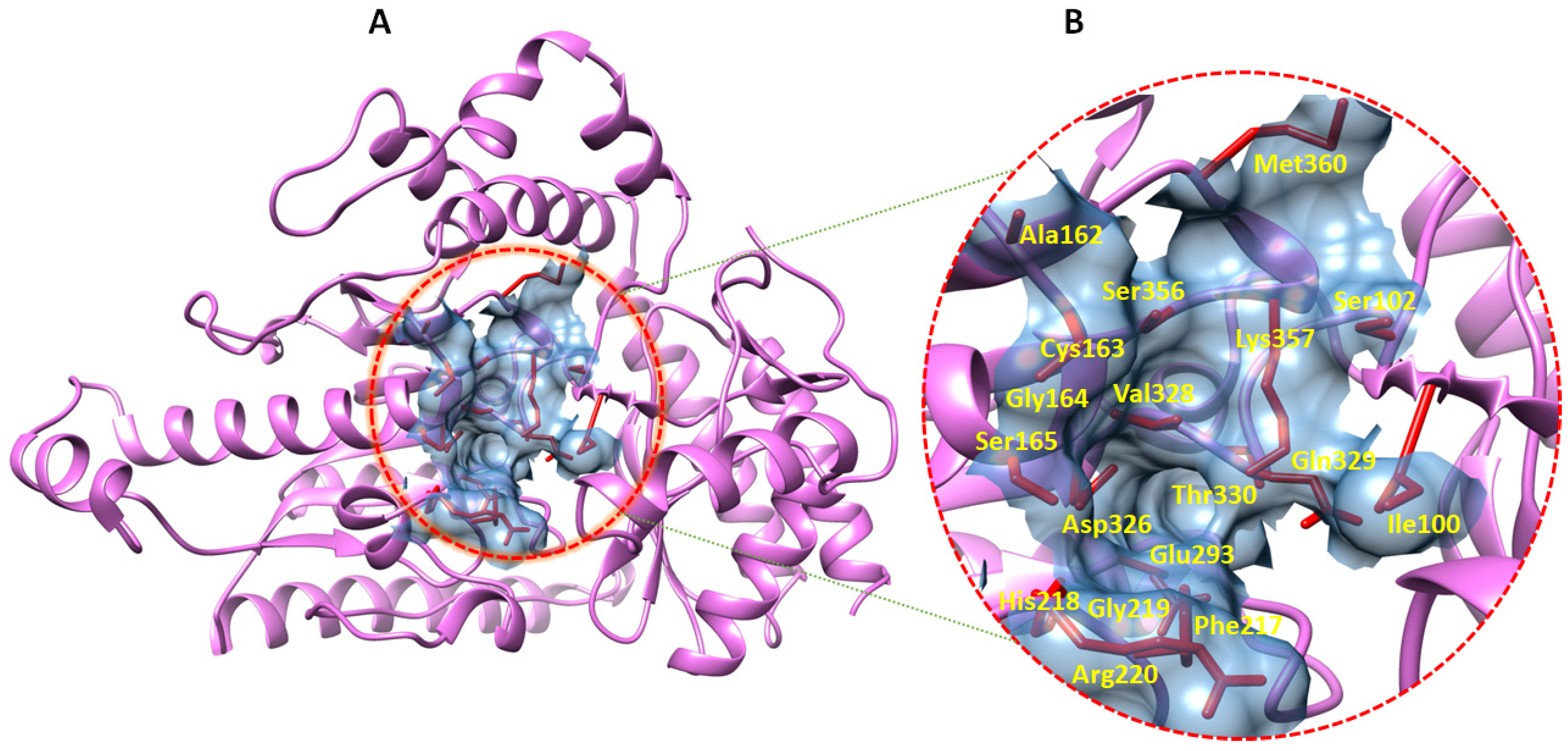 Ijms 24 10933 g004 Ijms 24 10933 g004
