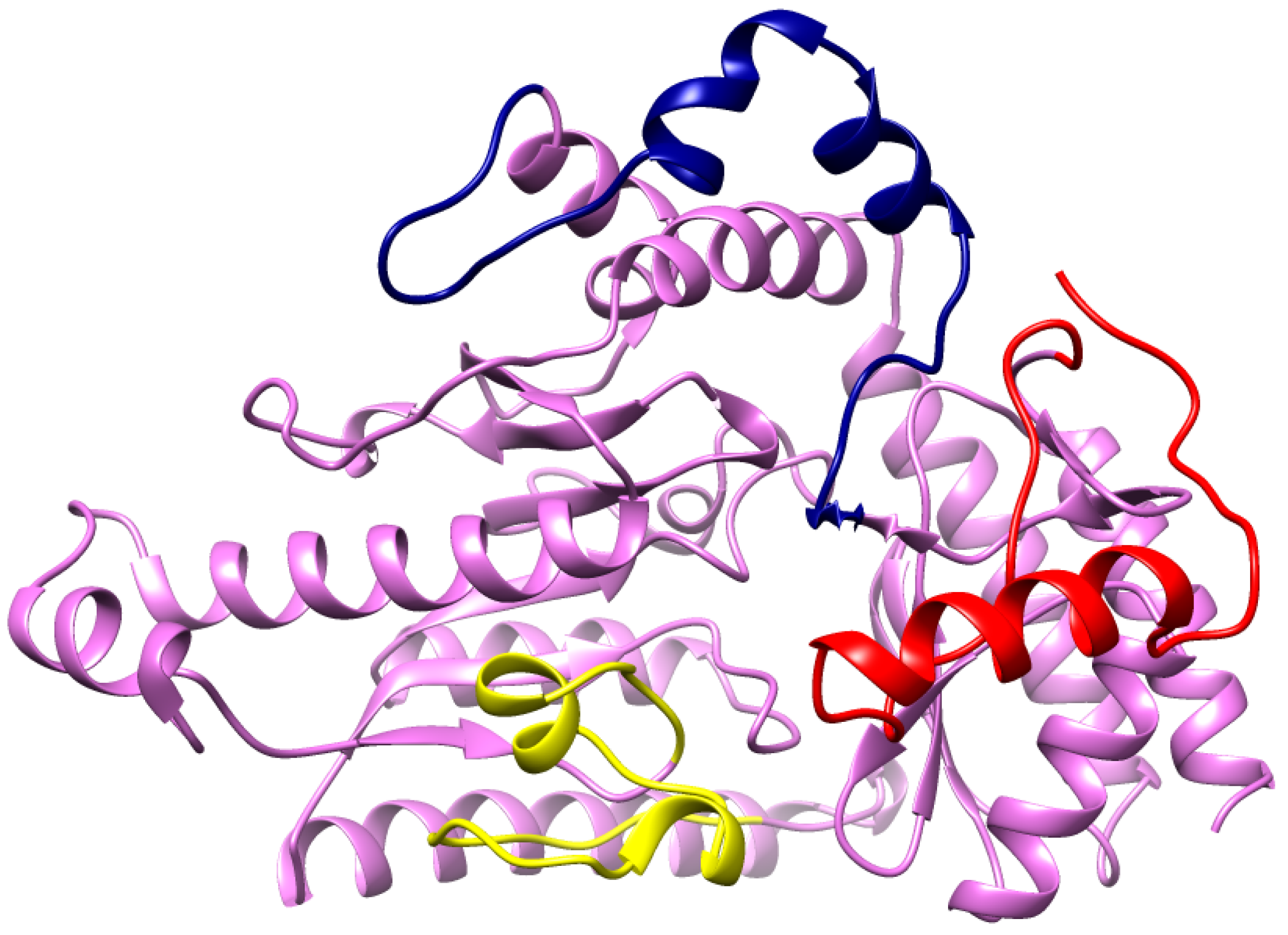 Ijms 24 10933 g007 Ijms 24 10933 g007