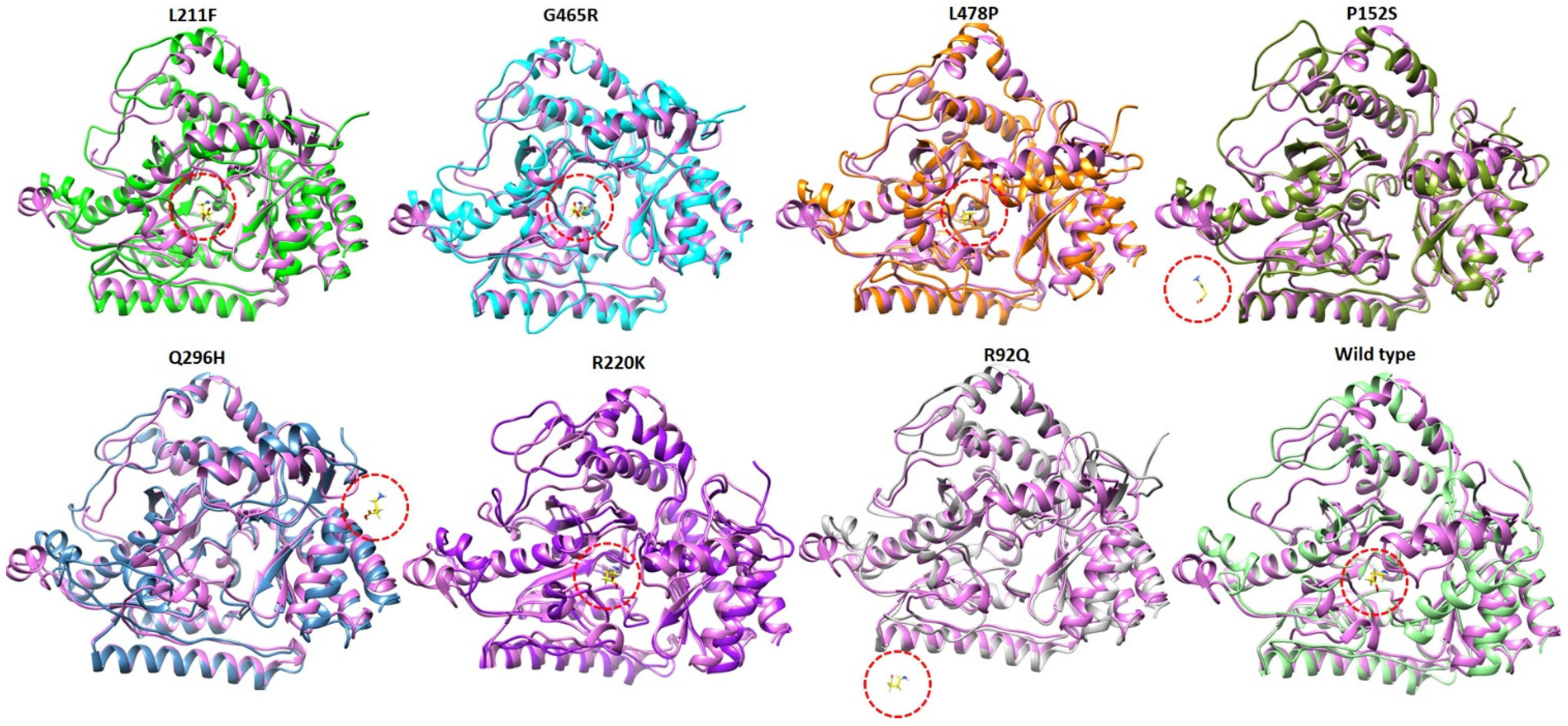 Ijms 24 10933 g011 Ijms 24 10933 g011