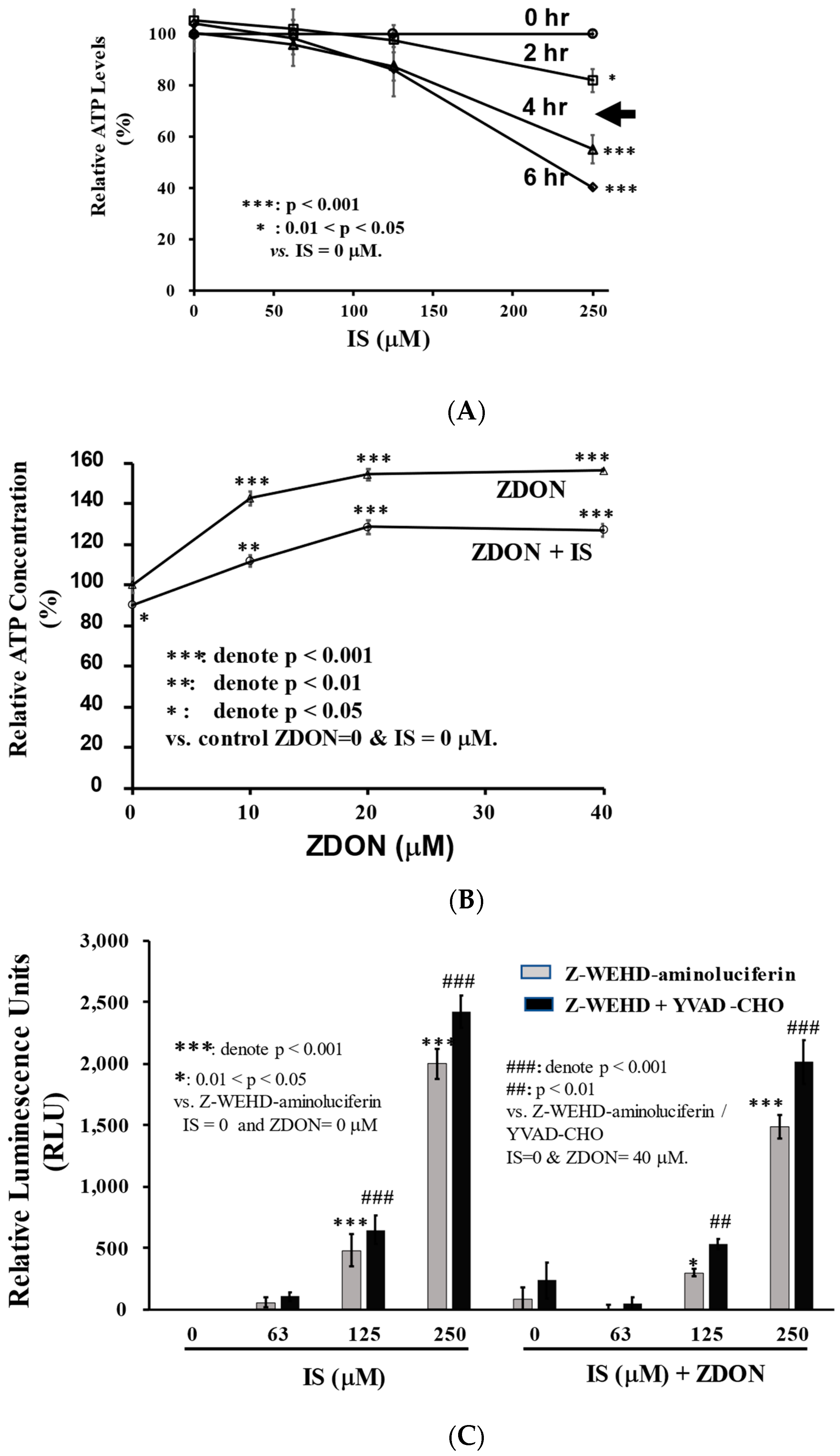 Ijms 24 10935 g001 Ijms 24 10935 g001