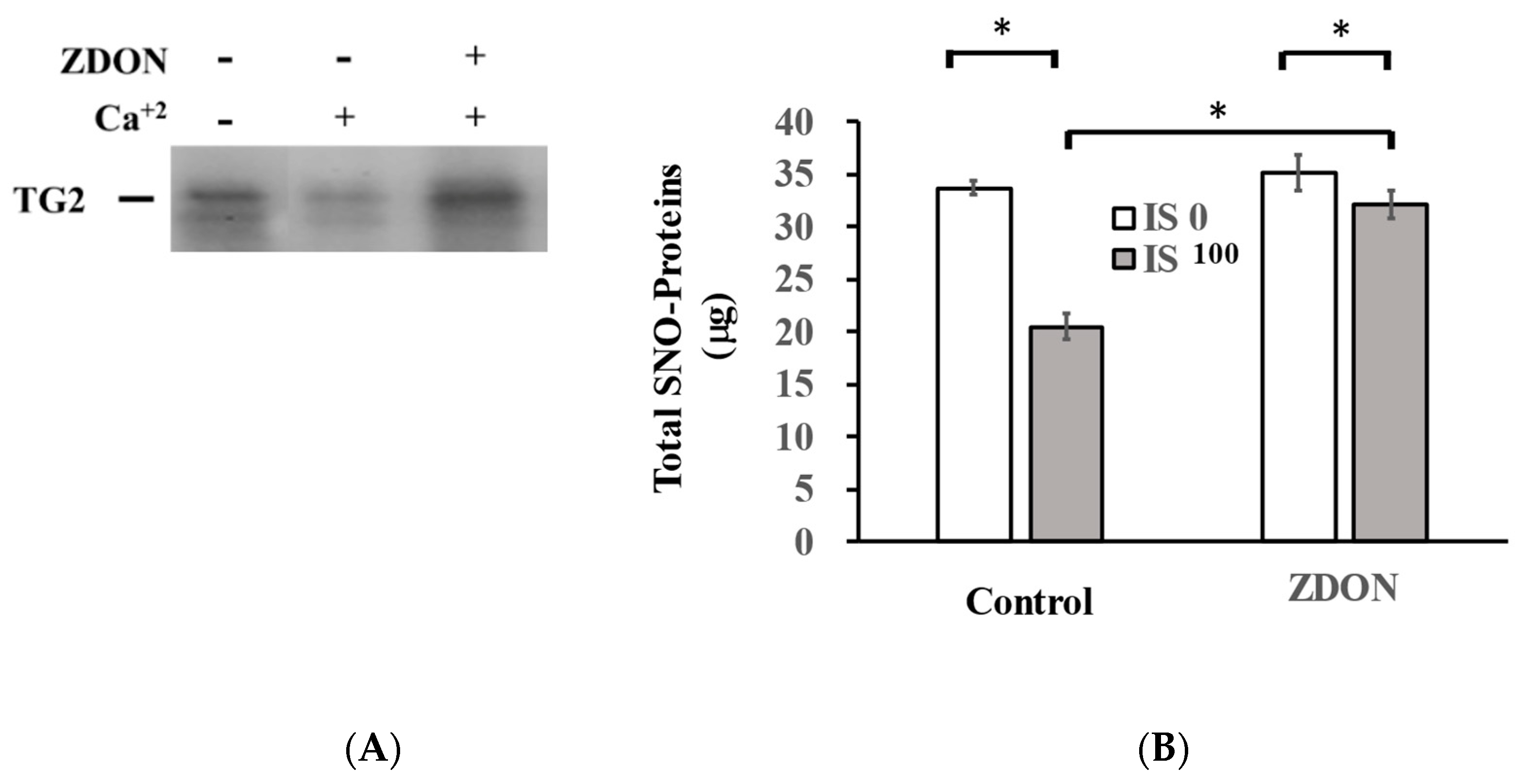 Ijms 24 10935 g006a Ijms 24 10935 g006a