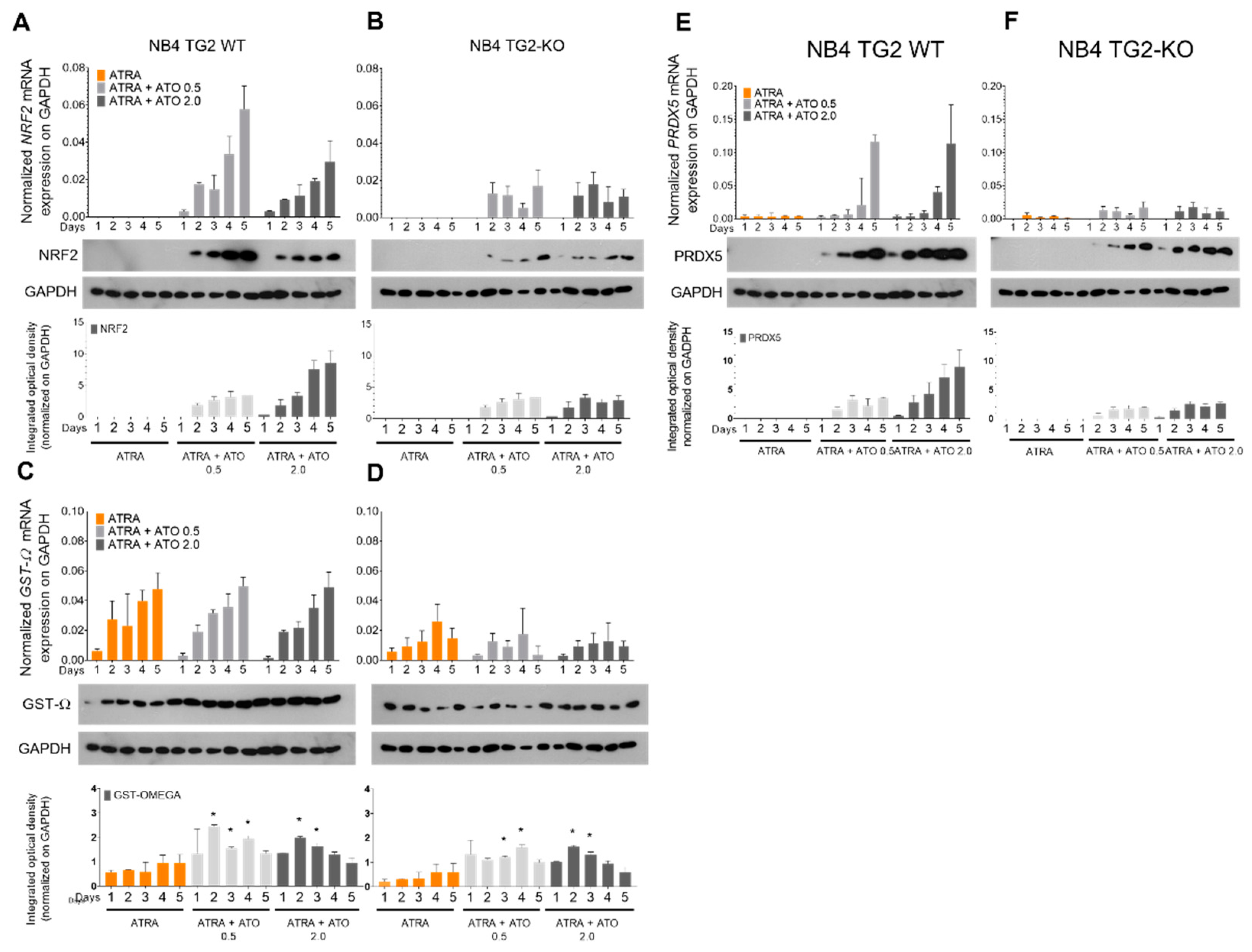 Ijms 24 10938 g003 Ijms 24 10938 g003
