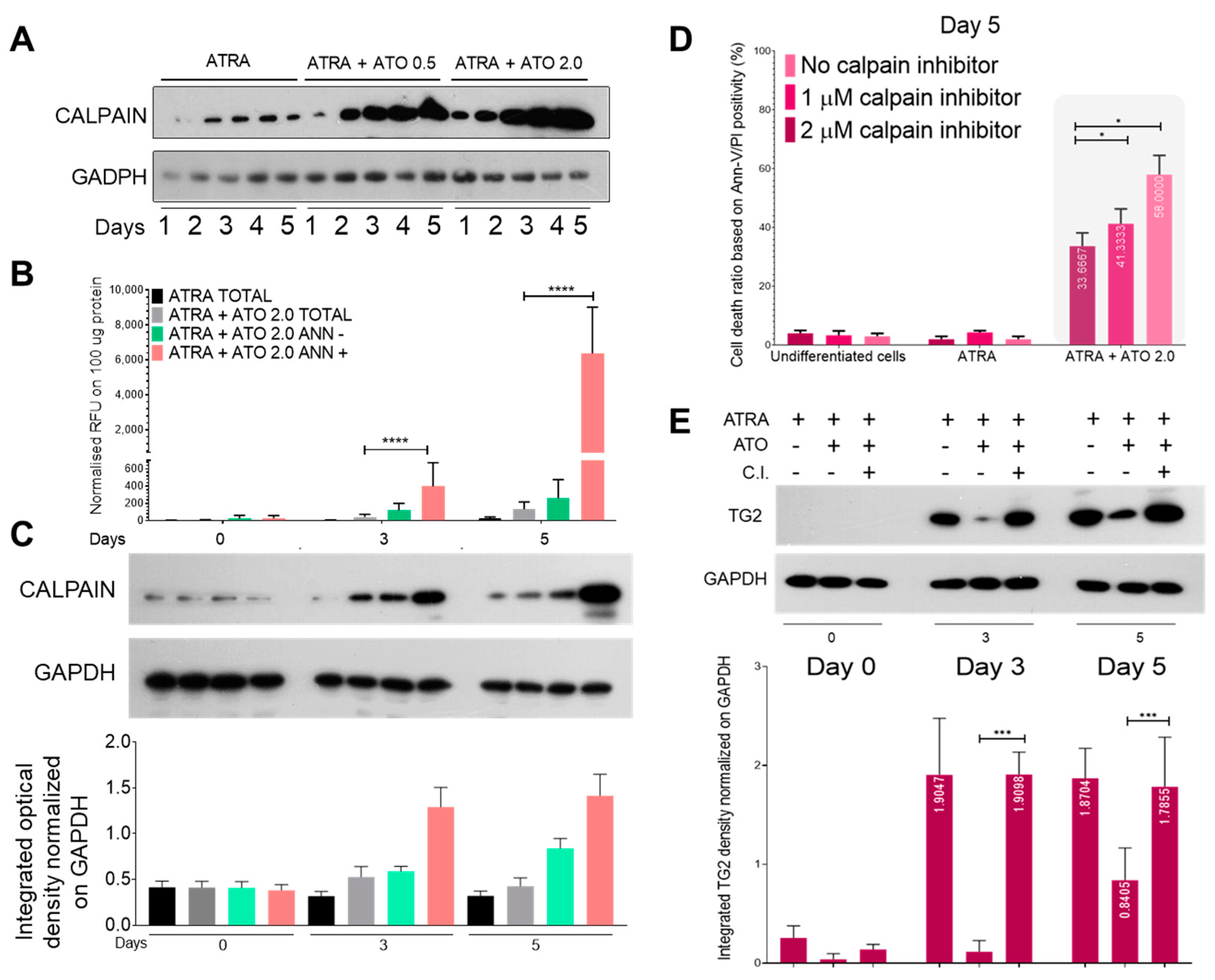Ijms 24 10938 g004 Ijms 24 10938 g004