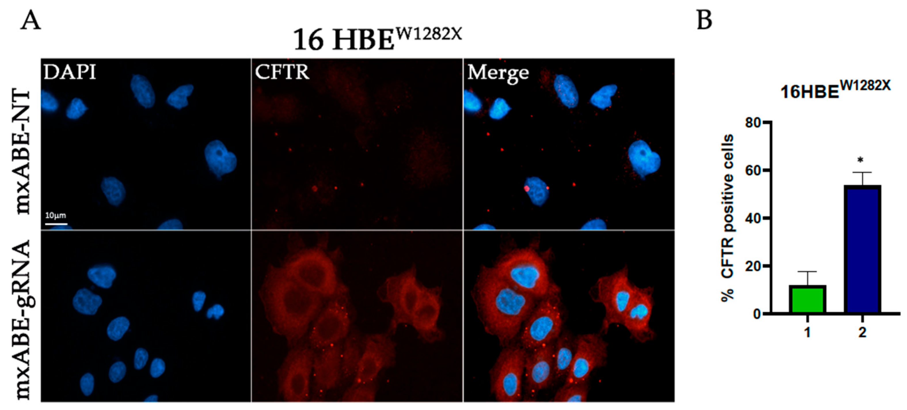 Ijms 24 10940 g005 Ijms 24 10940 g005