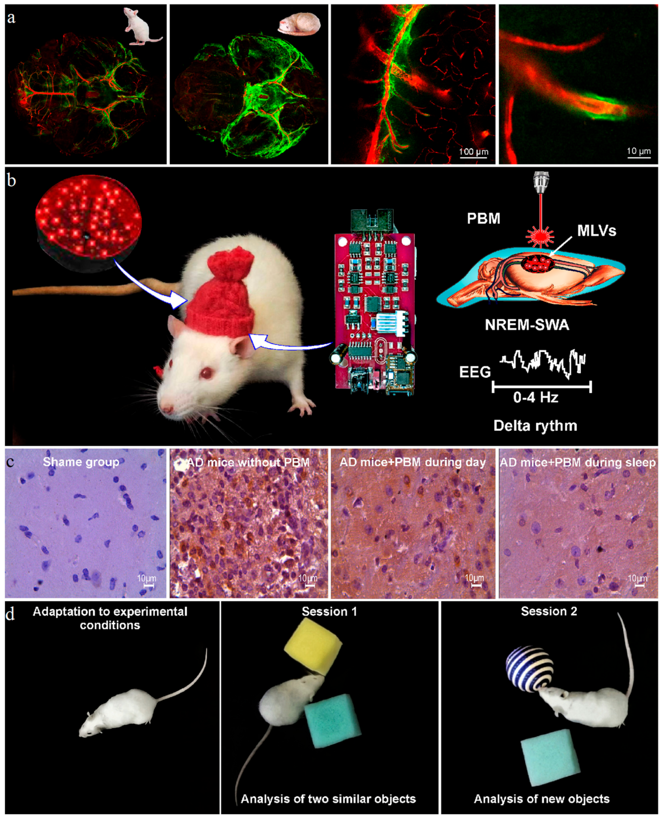 Ijms 24 10946 g002 Ijms 24 10946 g002