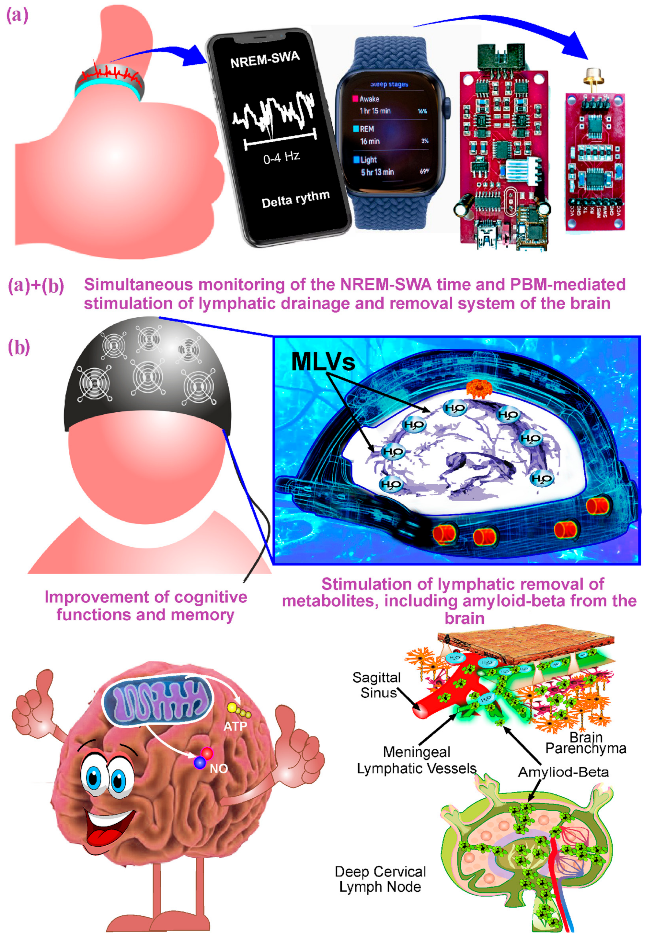Ijms 24 10946 g003 Ijms 24 10946 g003
