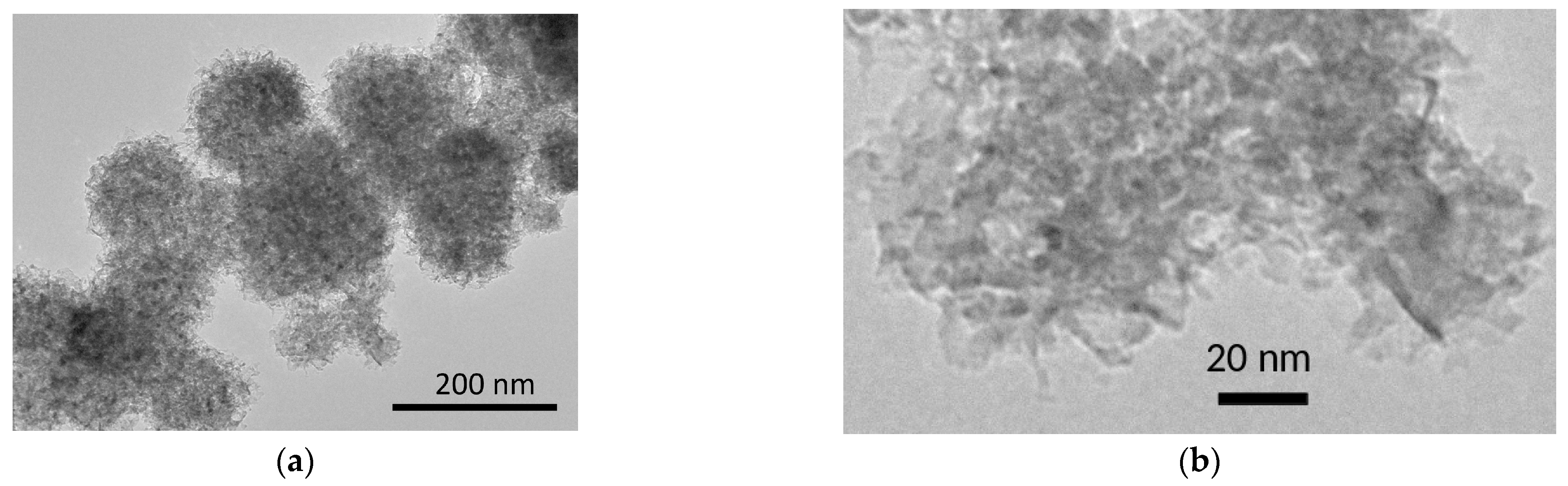 Ijms 24 10949 g002 Ijms 24 10949 g002