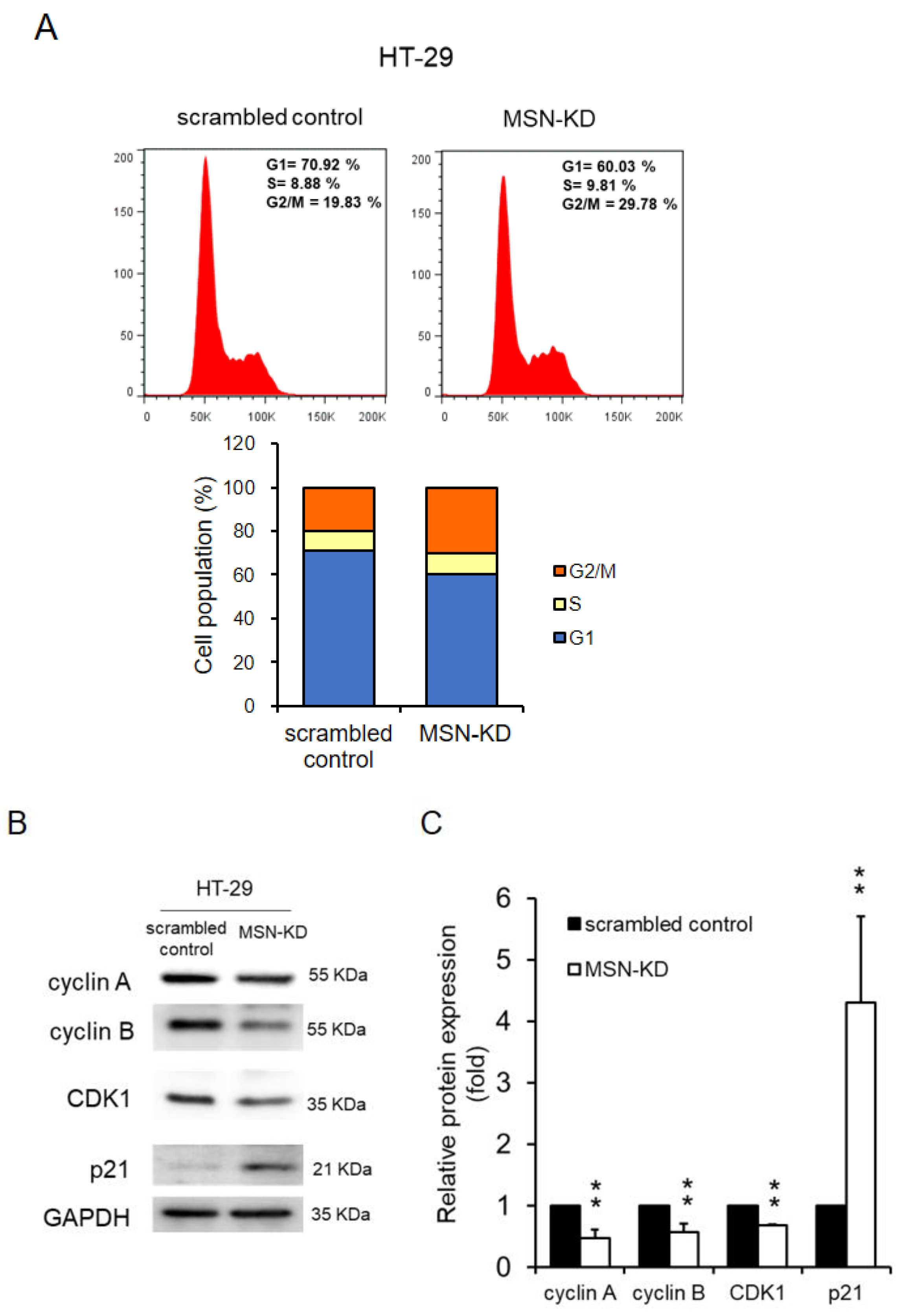 Ijms 24 10951 g003 Ijms 24 10951 g003