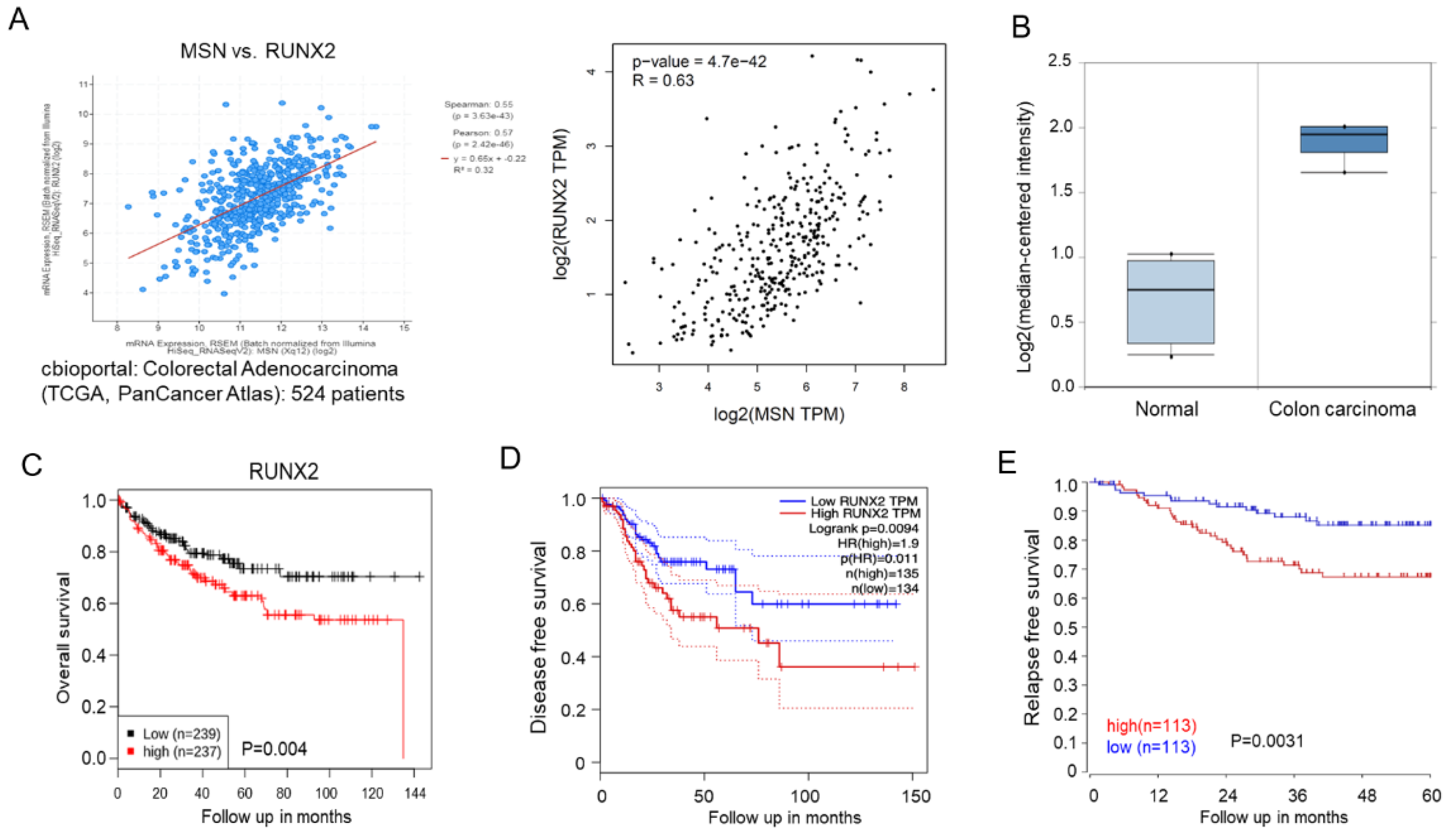 Ijms 24 10951 g008 Ijms 24 10951 g008
