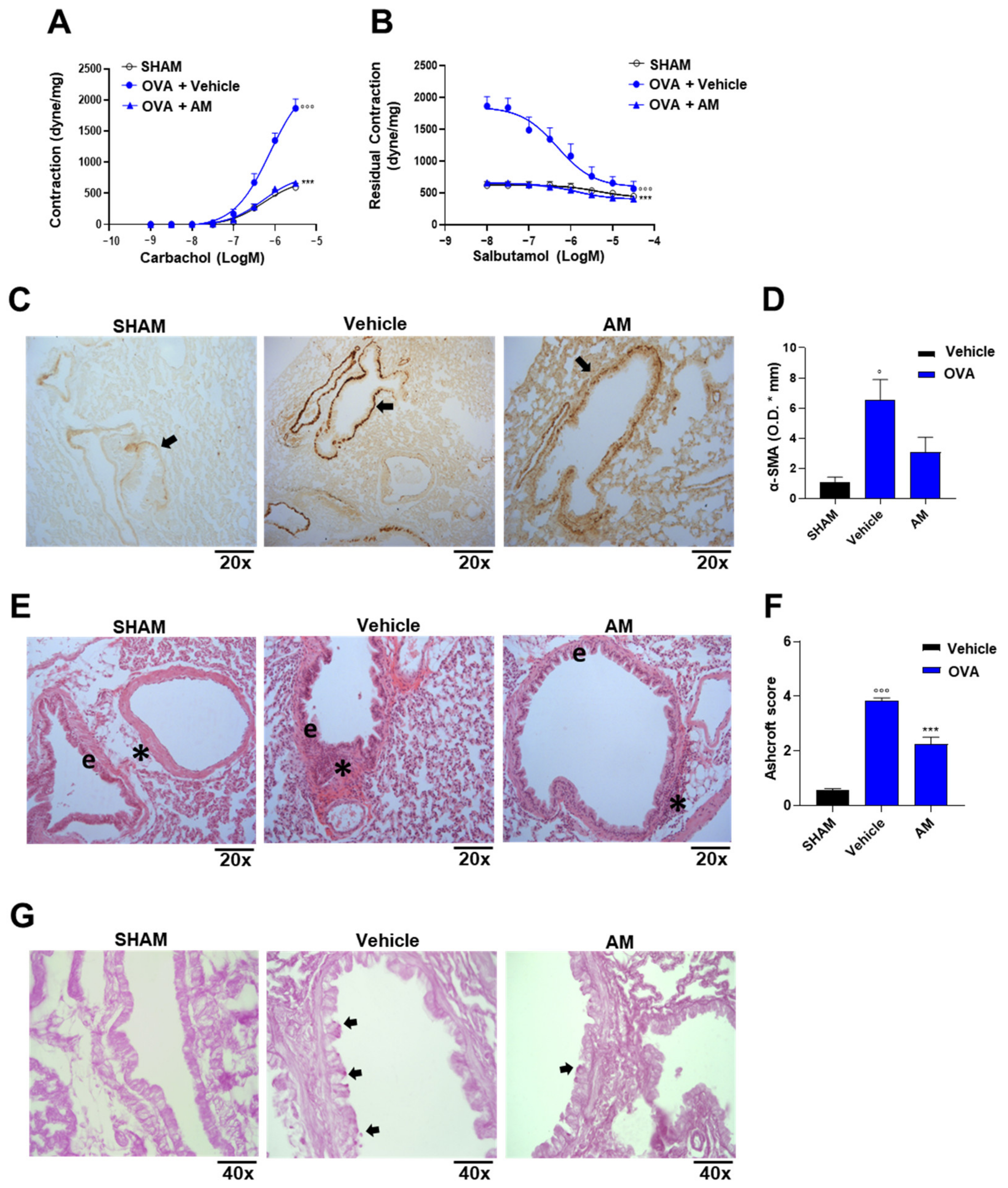 Ijms 24 10954 g007 Ijms 24 10954 g007