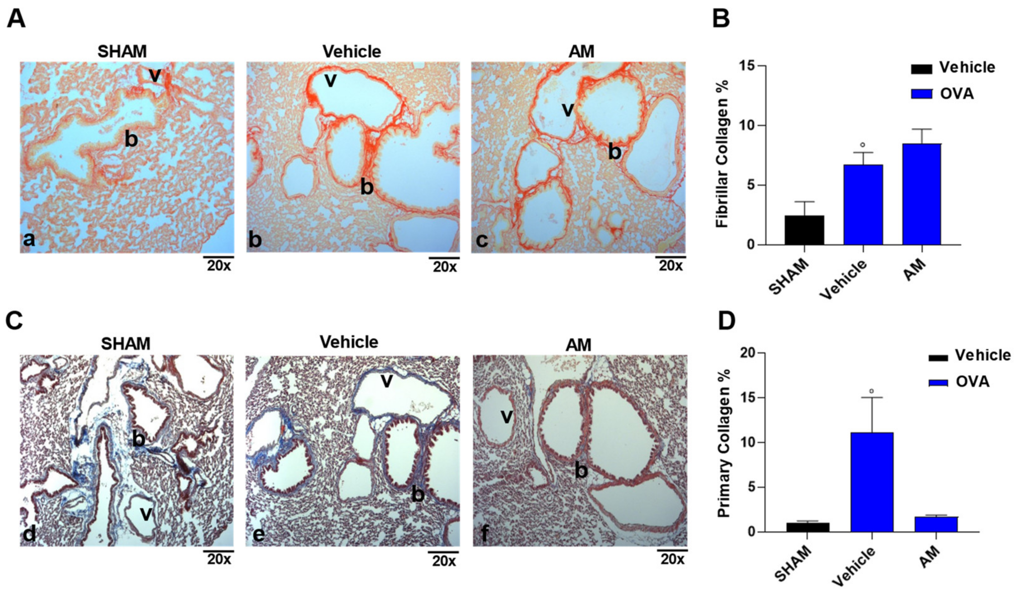 Ijms 24 10954 g008 Ijms 24 10954 g008