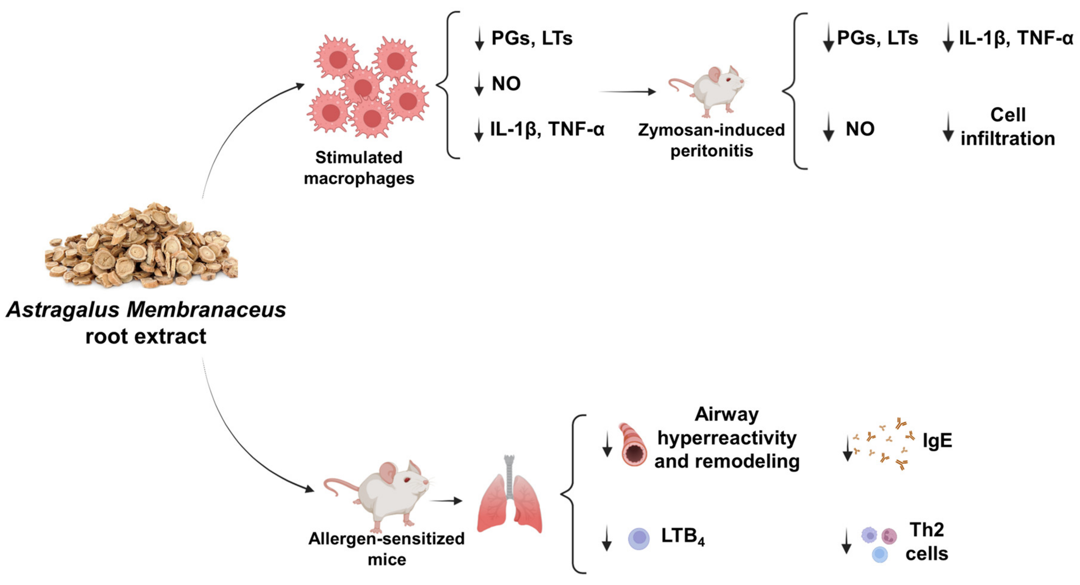 Ijms 24 10954 g010 Ijms 24 10954 g010