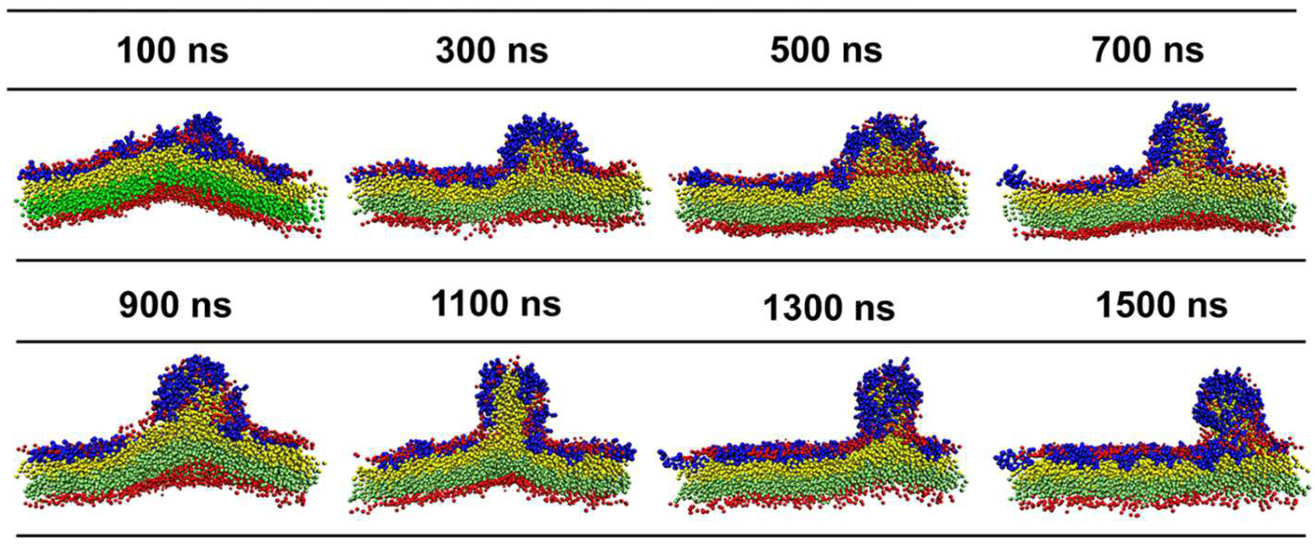 Ijms 24 10962 g005 Ijms 24 10962 g005