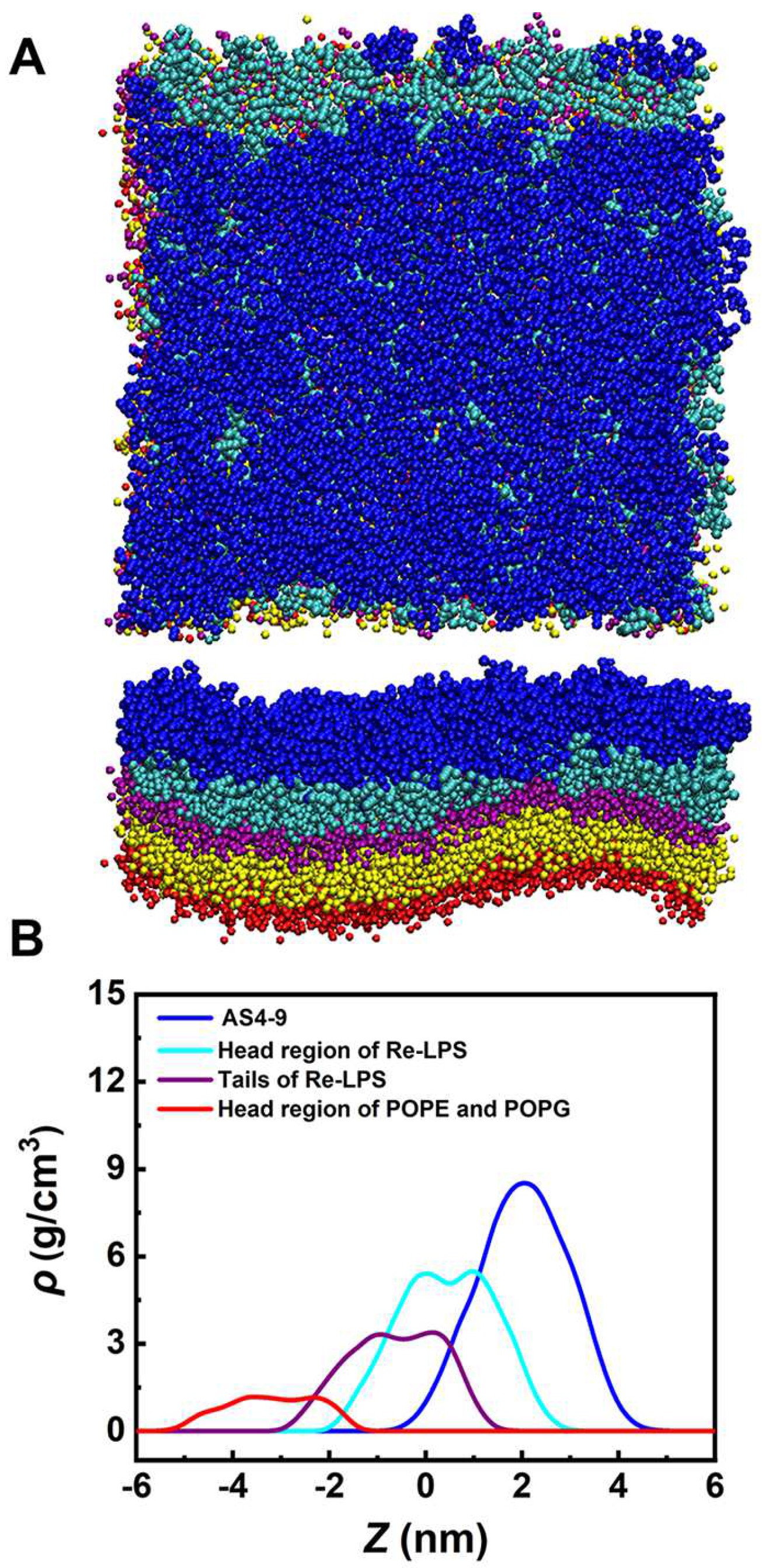 Ijms 24 10962 g007 Ijms 24 10962 g007