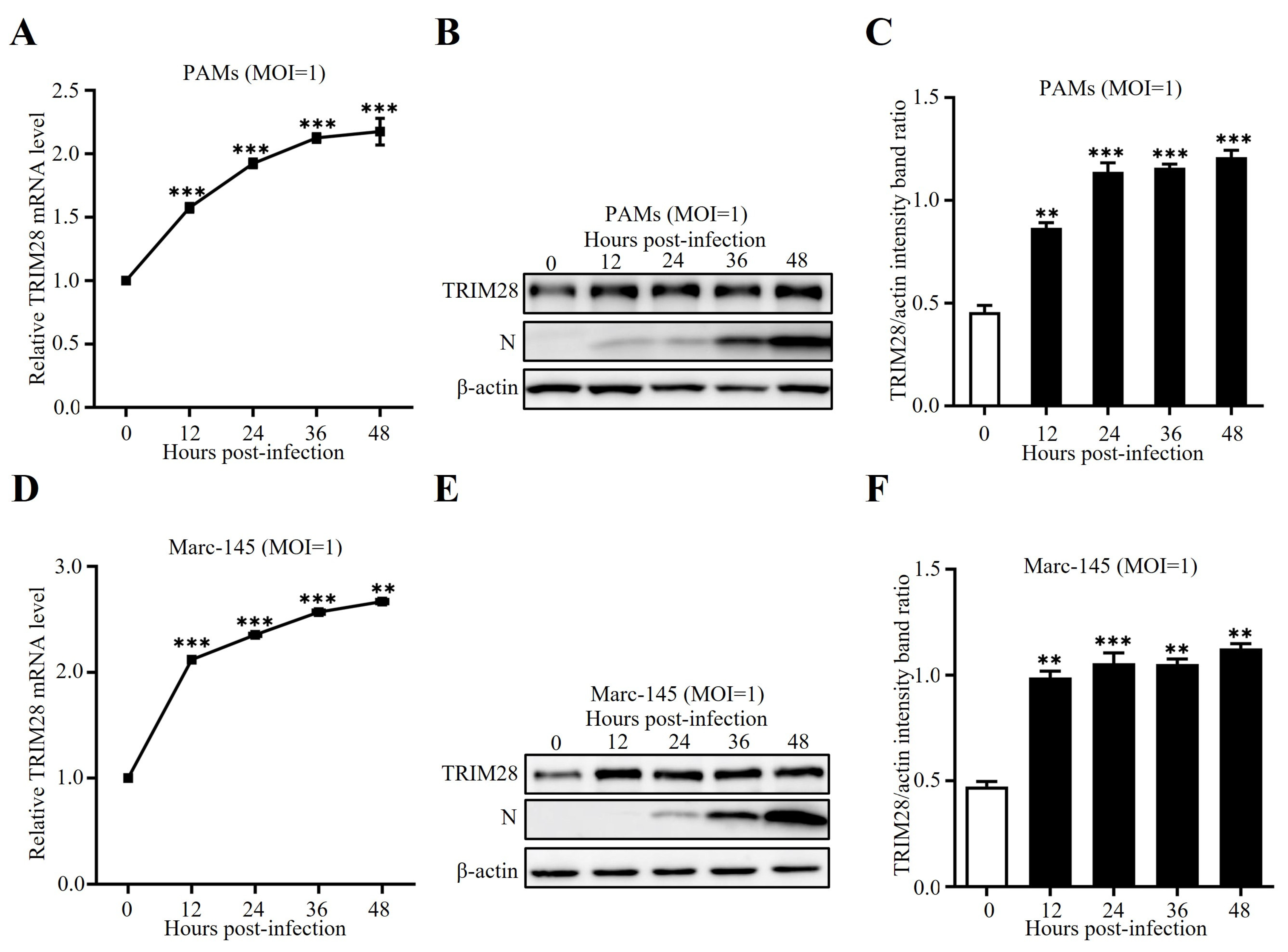 Ijms 24 10965 g001 Ijms 24 10965 g001