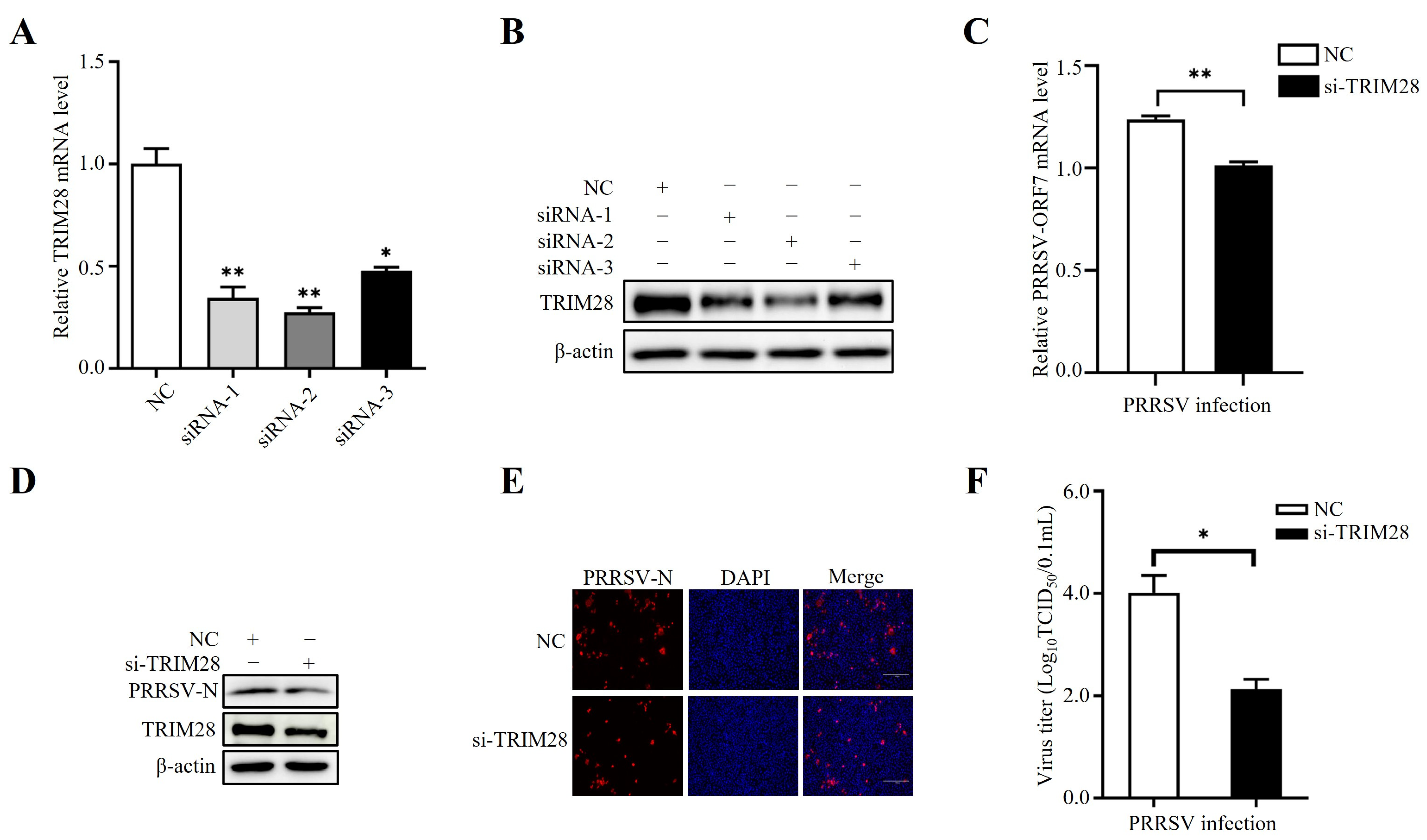 Ijms 24 10965 g003 Ijms 24 10965 g003