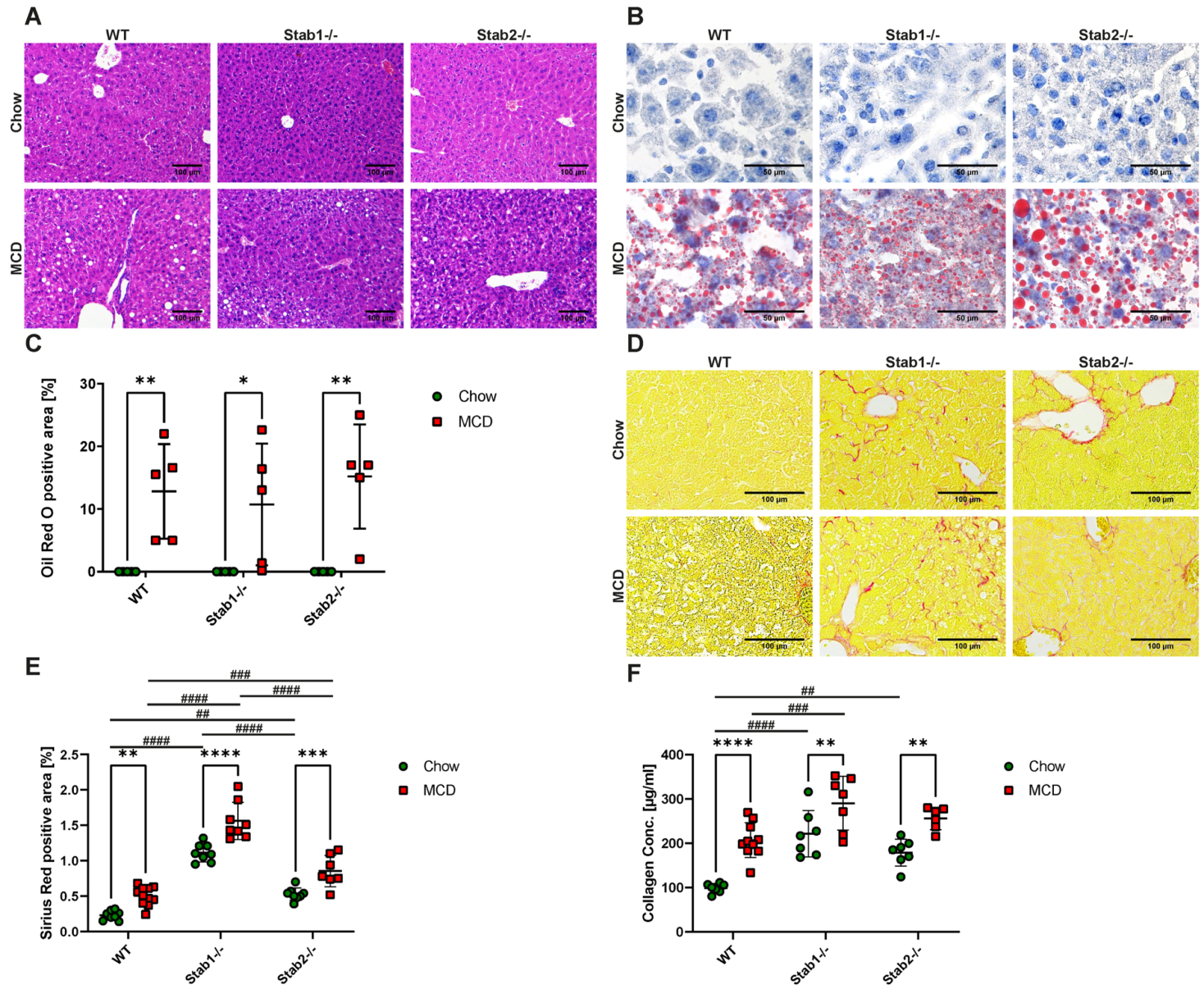 Ijms 24 10969 g001 Ijms 24 10969 g001