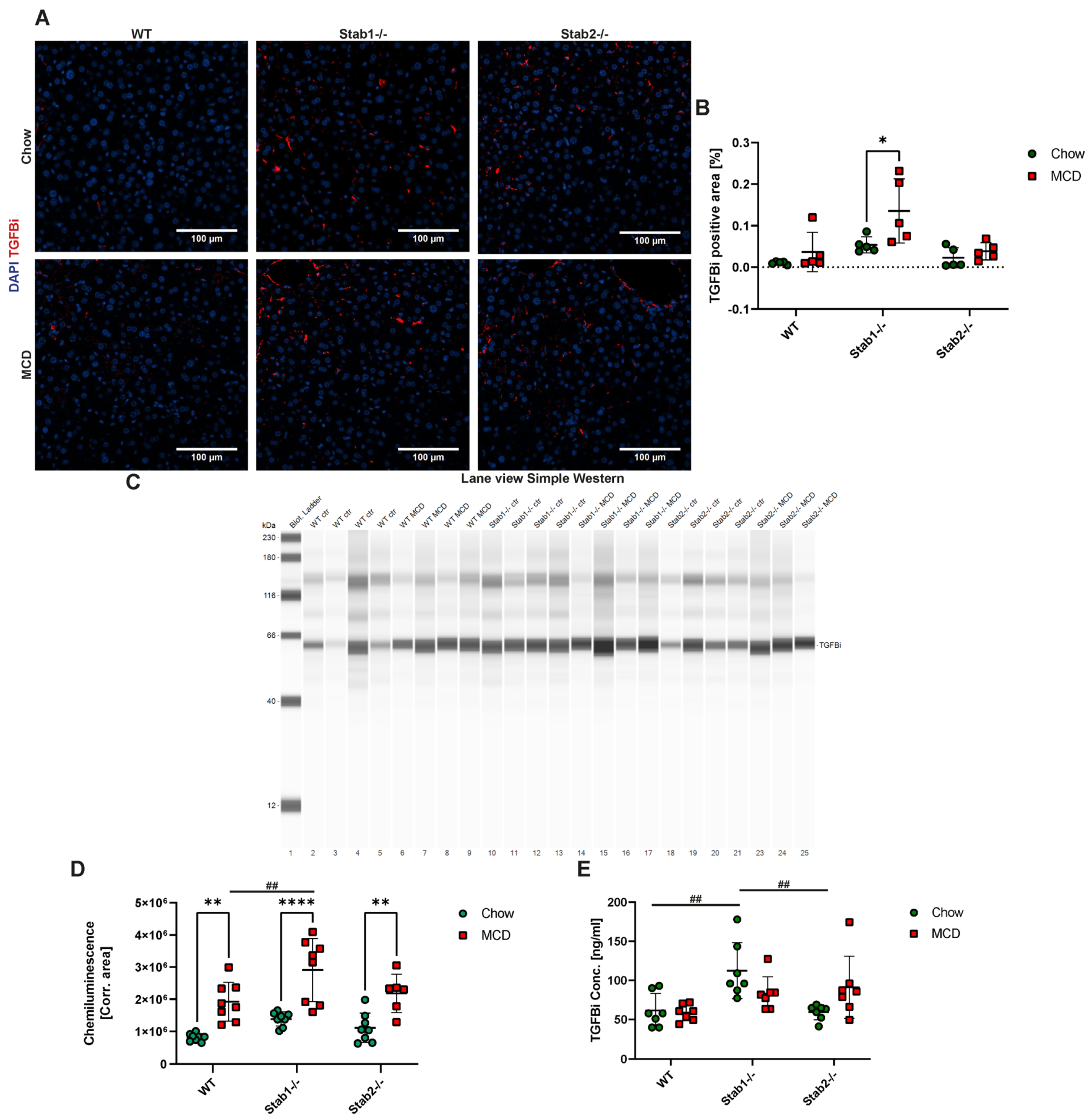 Ijms 24 10969 g005 Ijms 24 10969 g005