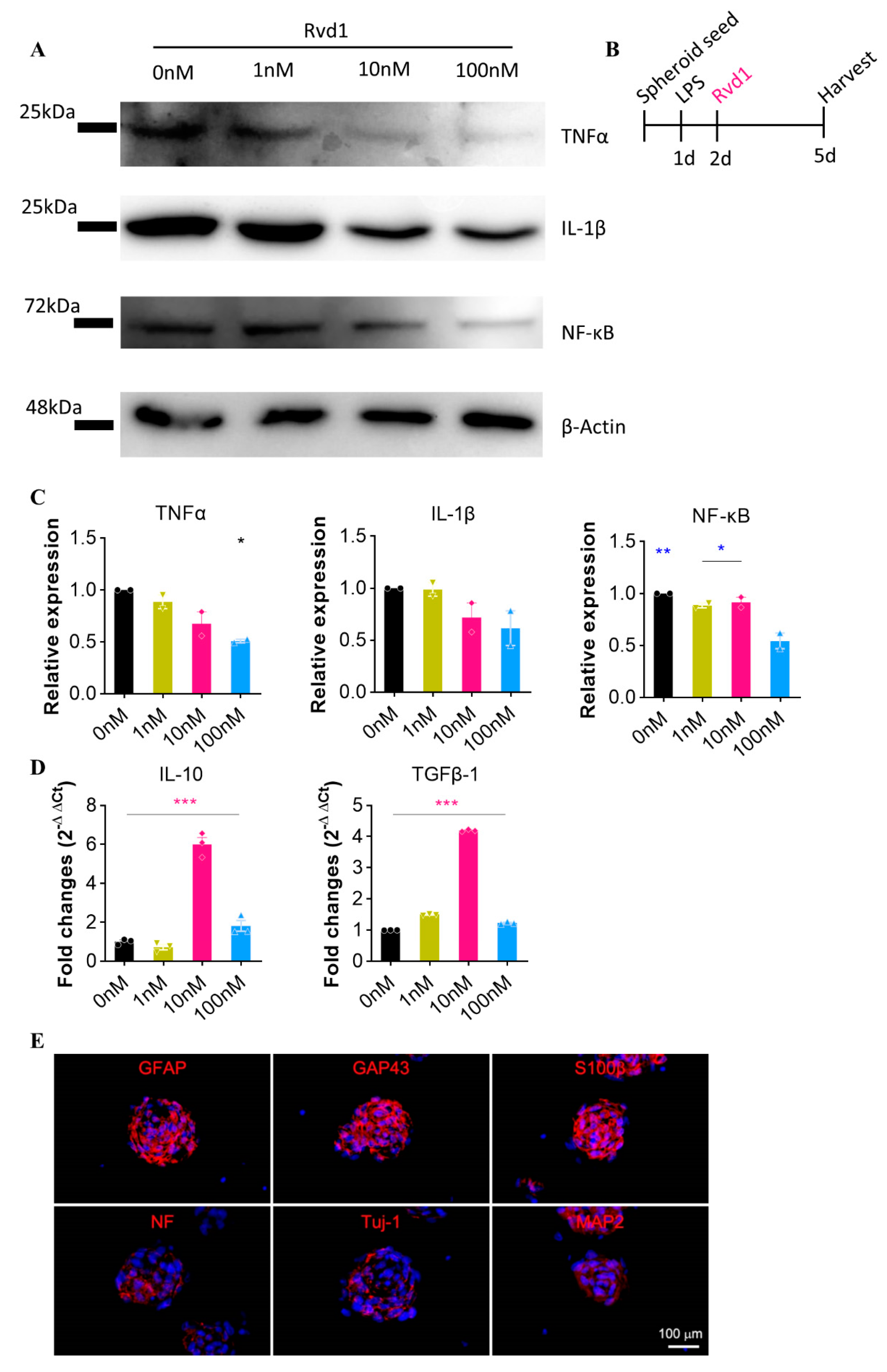 Ijms 24 10971 g001 Ijms 24 10971 g001