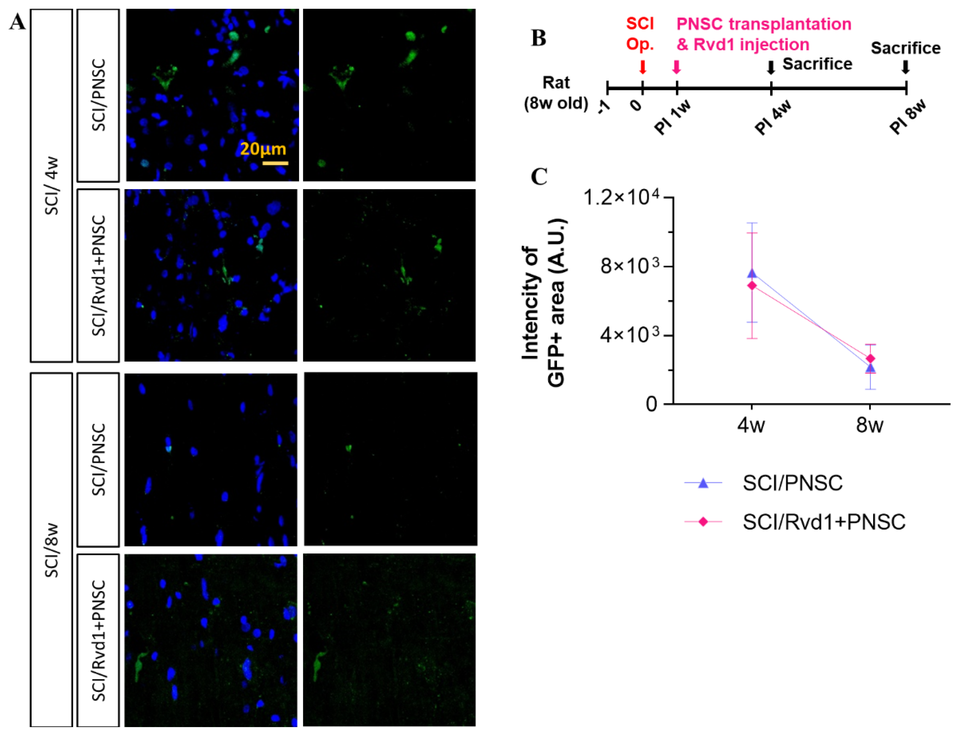Ijms 24 10971 g005 Ijms 24 10971 g005