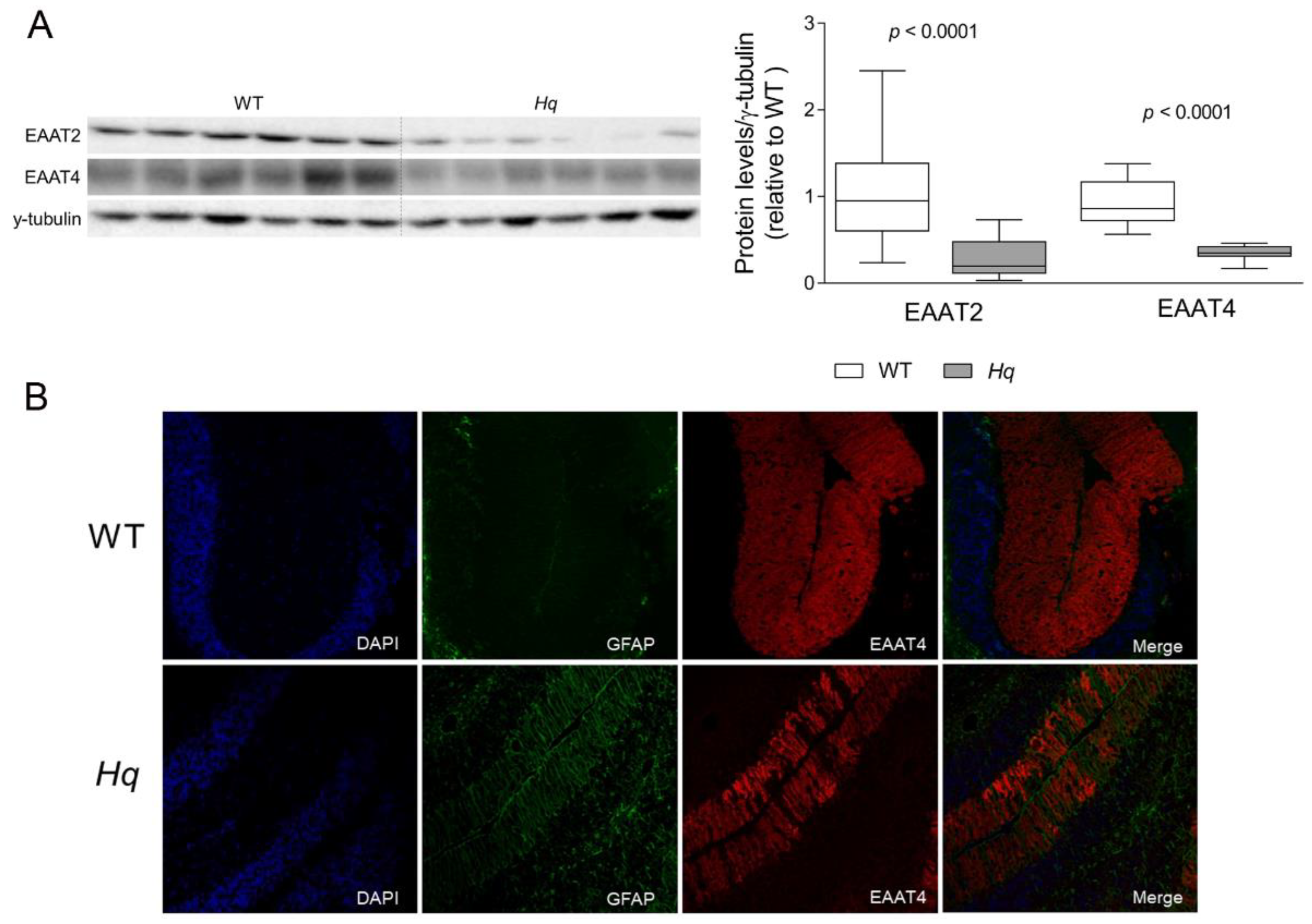 Ijms 24 10973 g001 Ijms 24 10973 g001