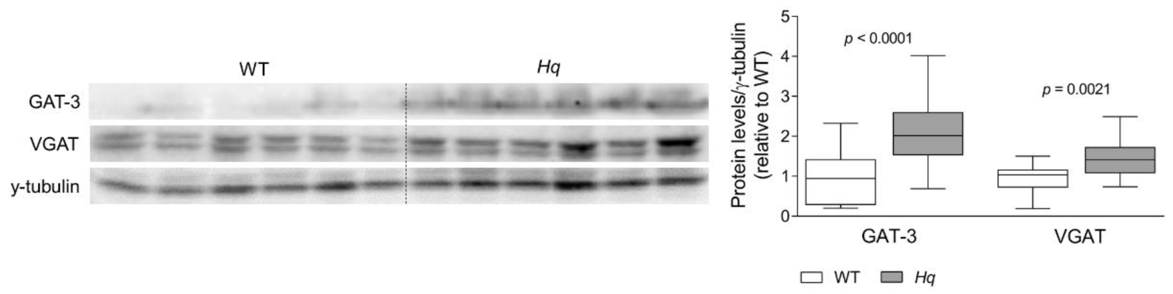 Ijms 24 10973 g002 Ijms 24 10973 g002