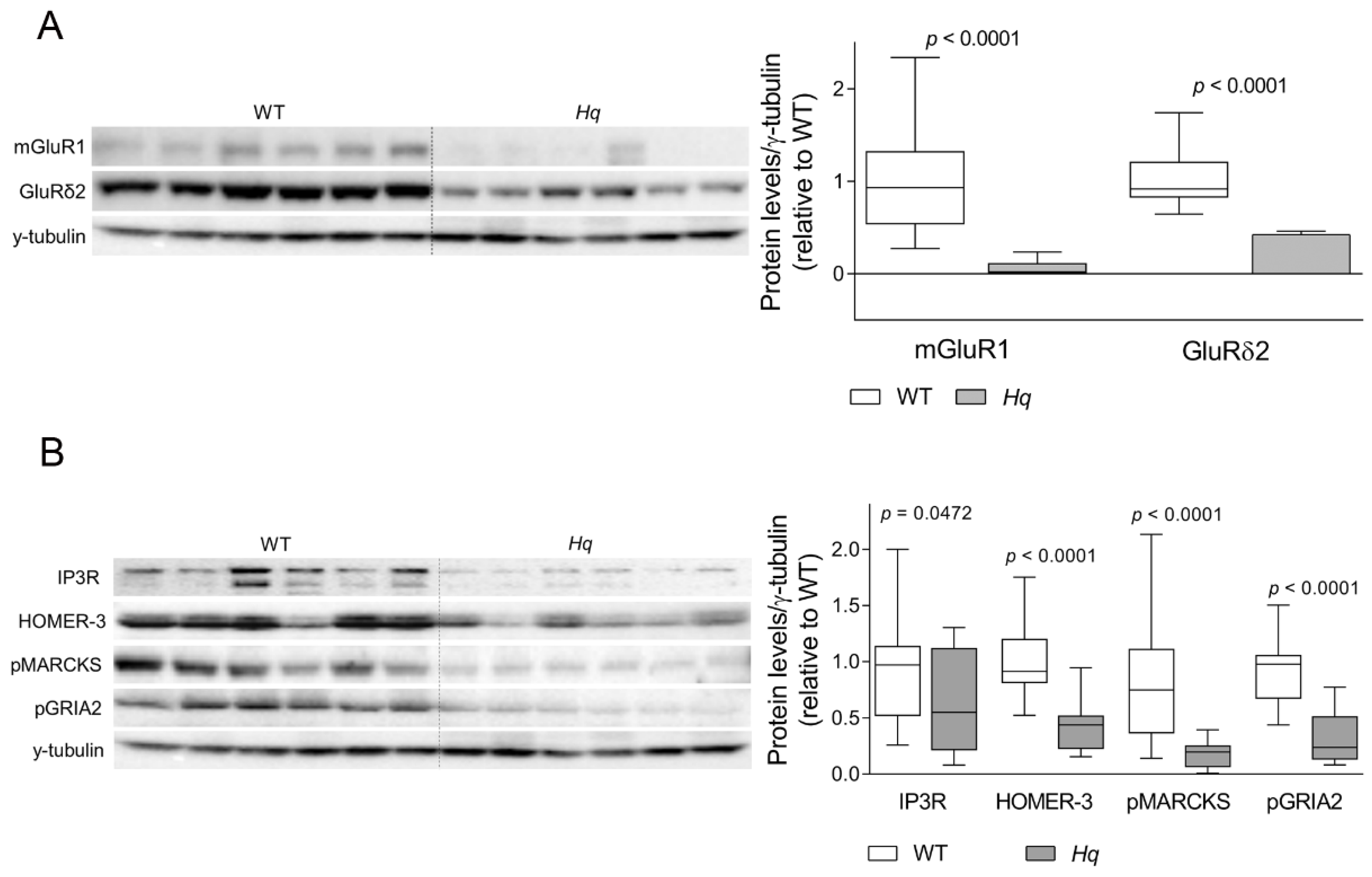 Ijms 24 10973 g003 Ijms 24 10973 g003
