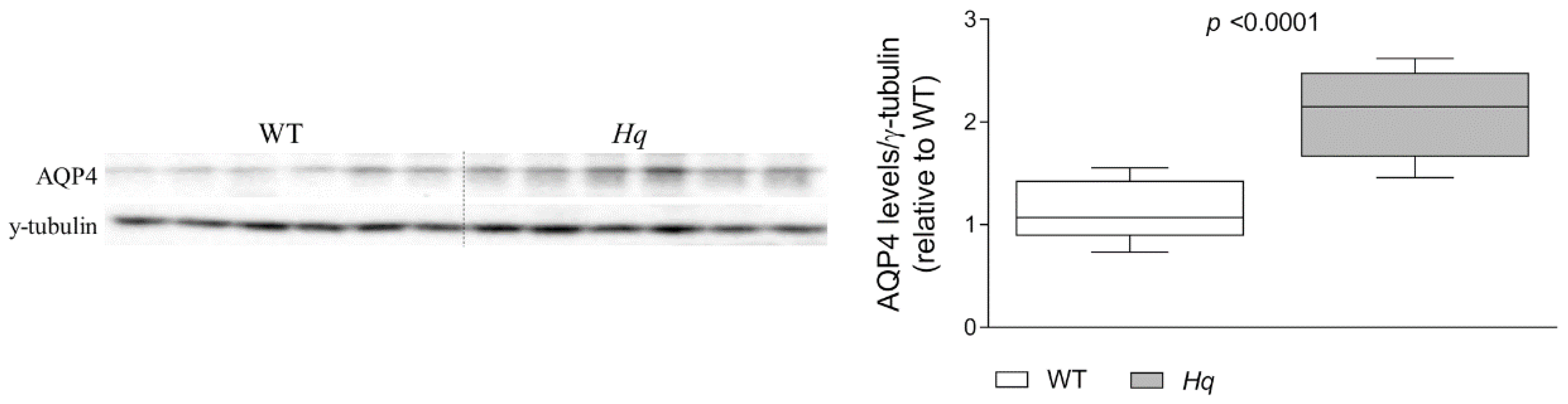 Ijms 24 10973 g004 Ijms 24 10973 g004