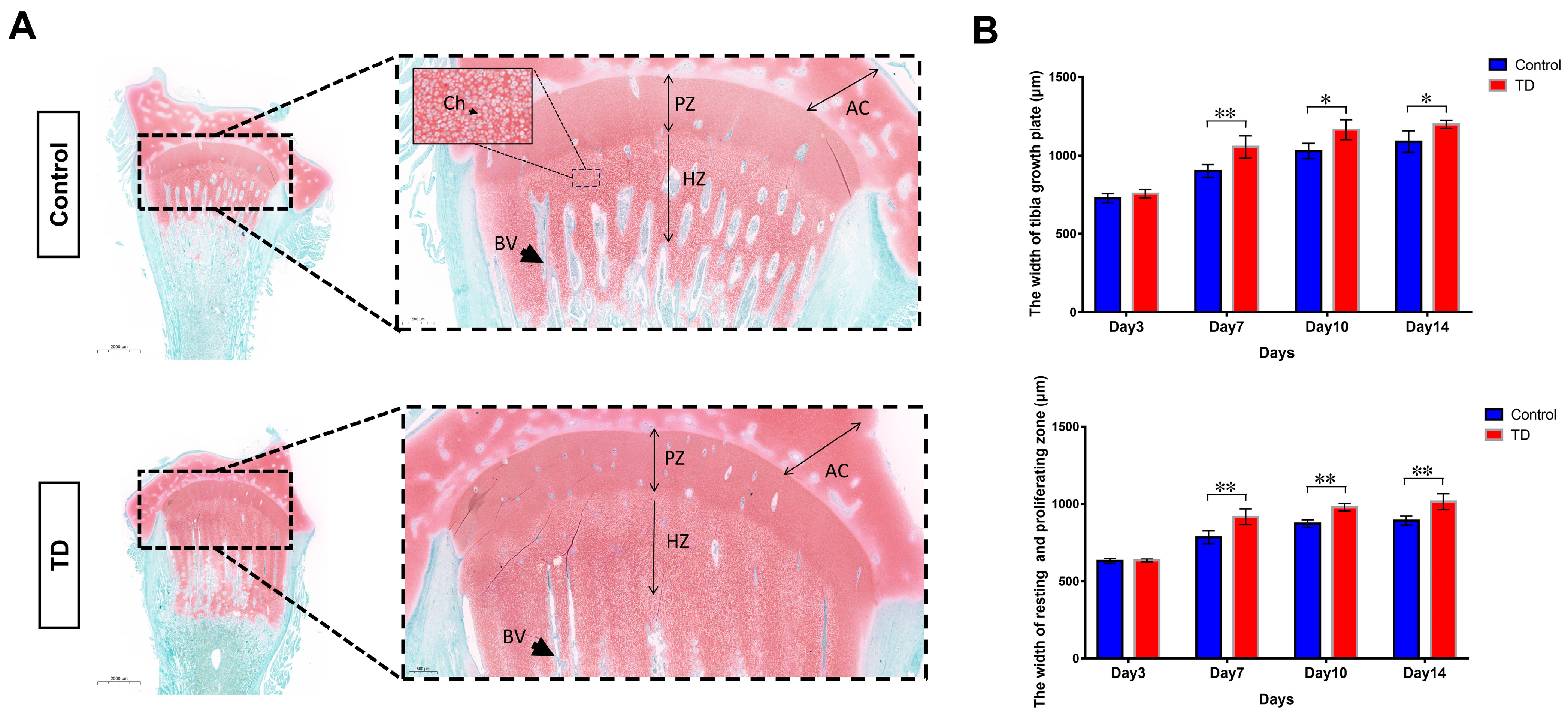 Ijms 24 10975 g001 Ijms 24 10975 g001