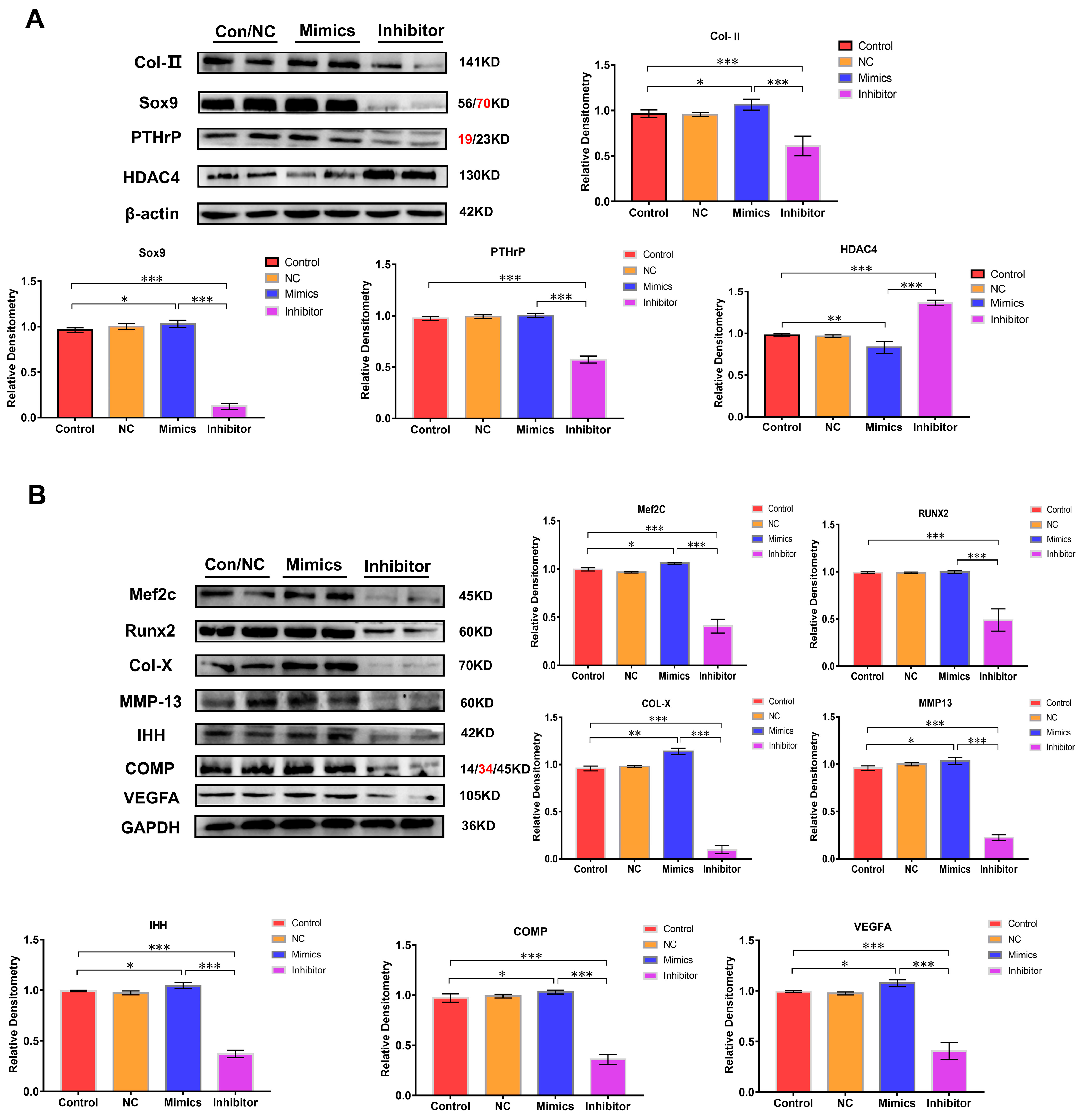 Ijms 24 10975 g004 Ijms 24 10975 g004