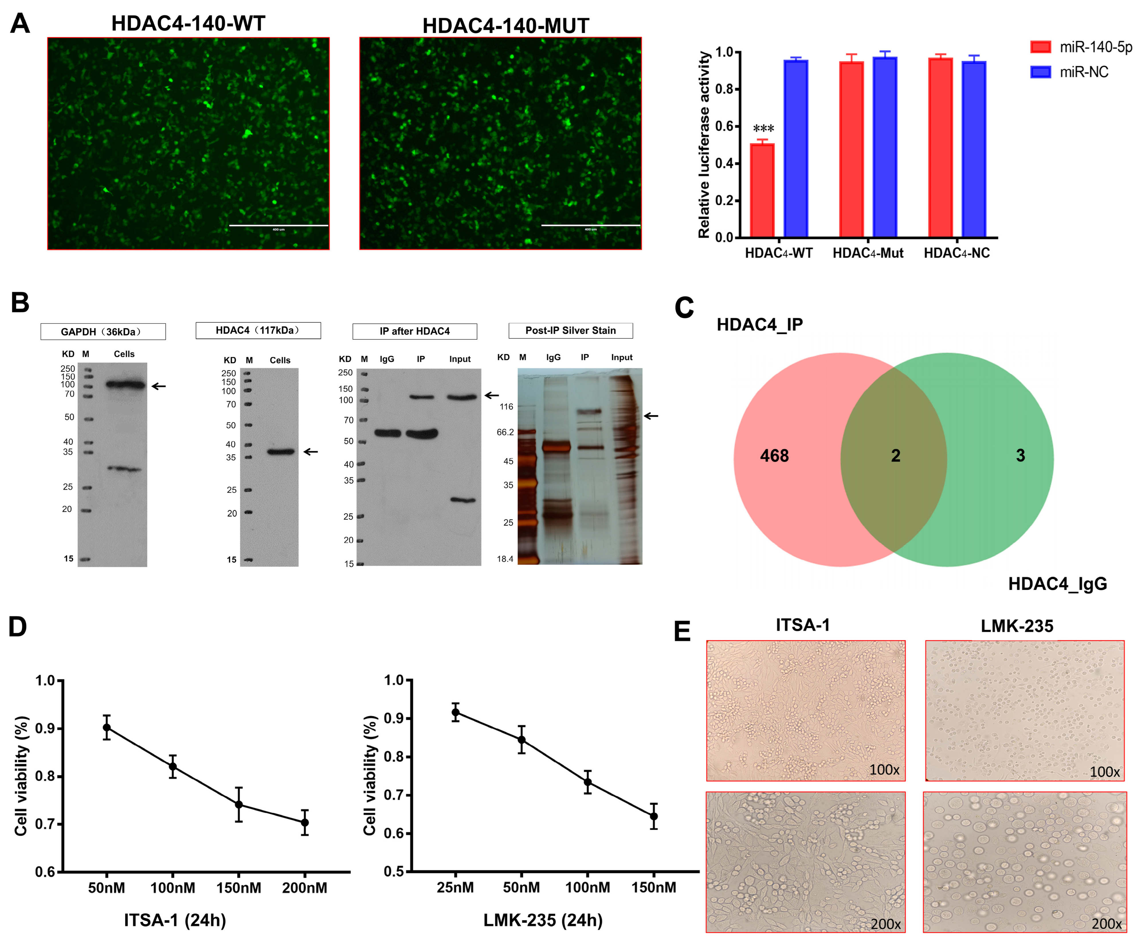 Ijms 24 10975 g006 Ijms 24 10975 g006