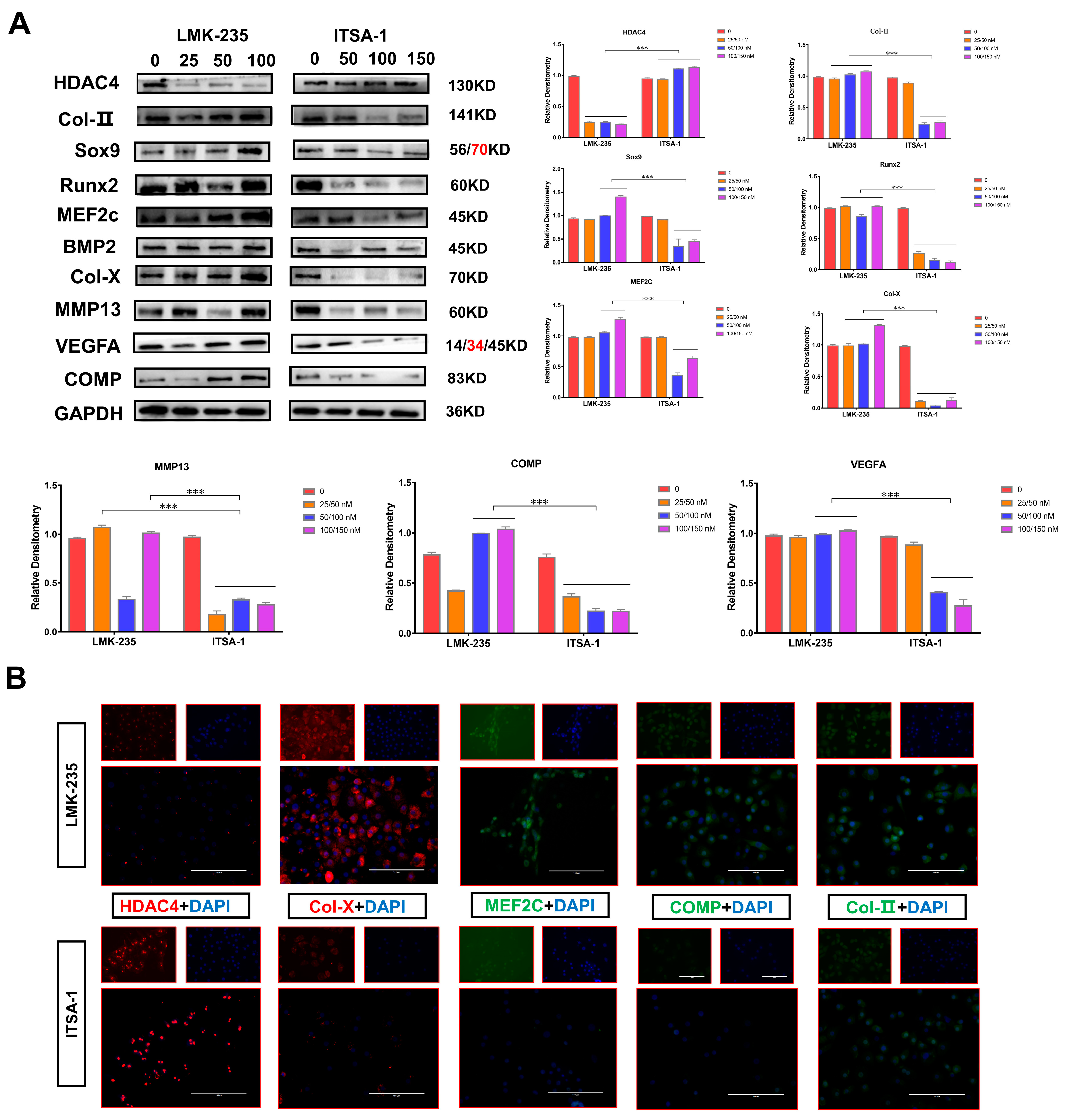 Ijms 24 10975 g007 Ijms 24 10975 g007