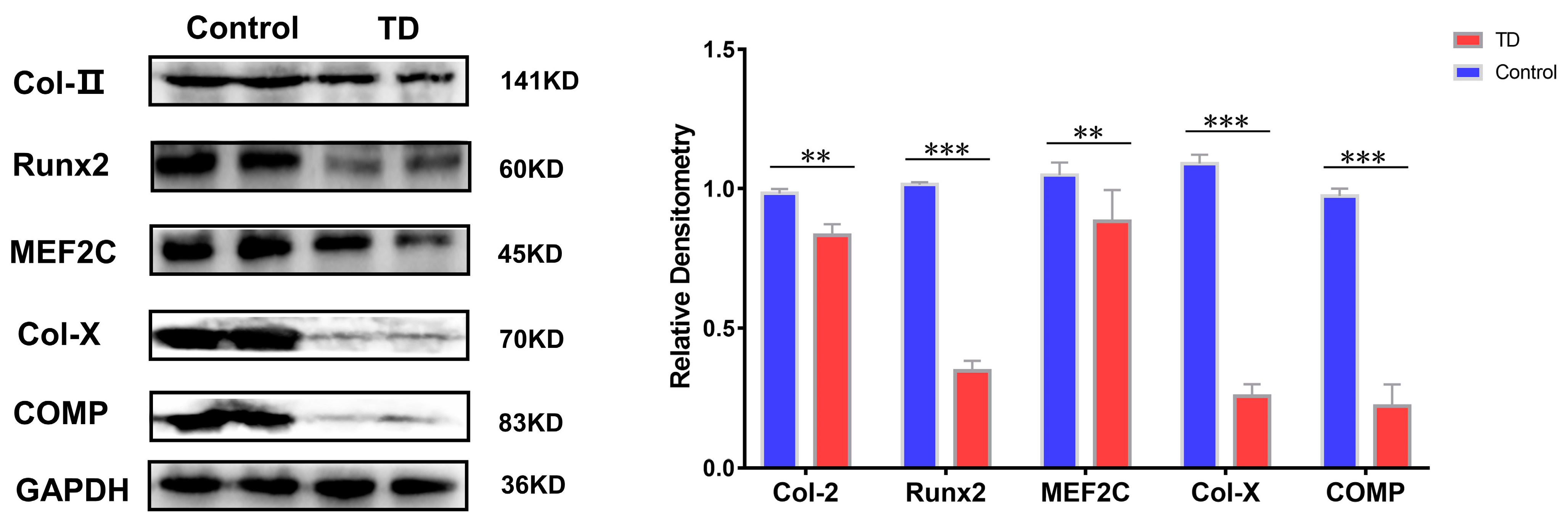 Ijms 24 10975 g008 Ijms 24 10975 g008